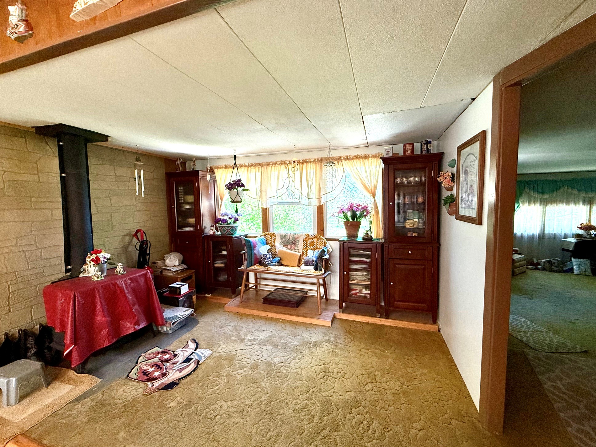 412 Hauser Street Property Photo 10