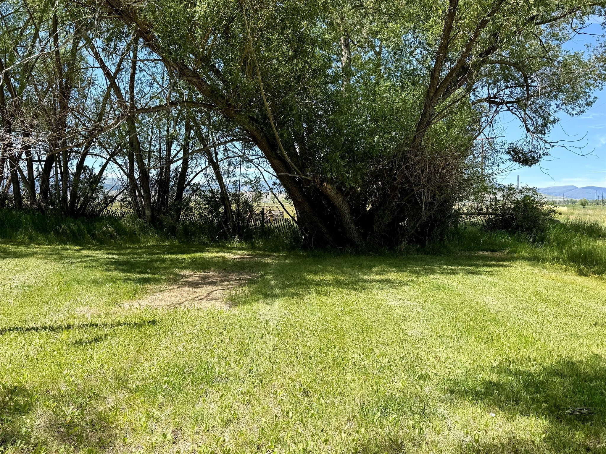 412 Hauser Street Property Photo 27