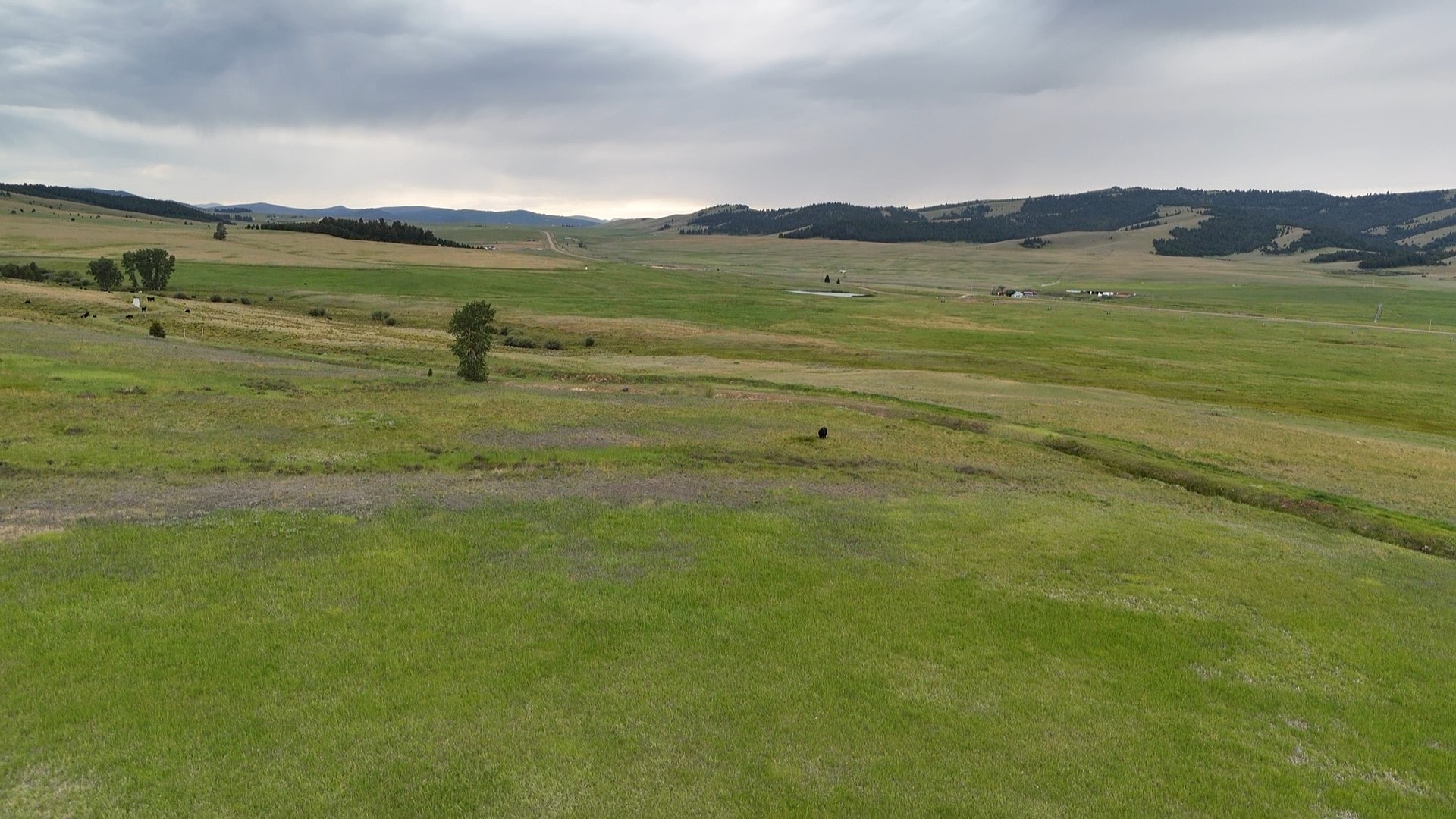 Nhn Meadow View Property Photo 1