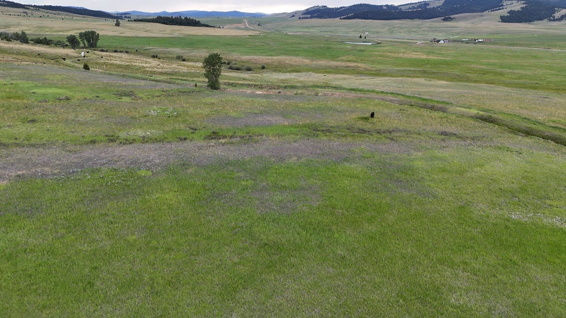 Nhn Meadow View Property Photo 3