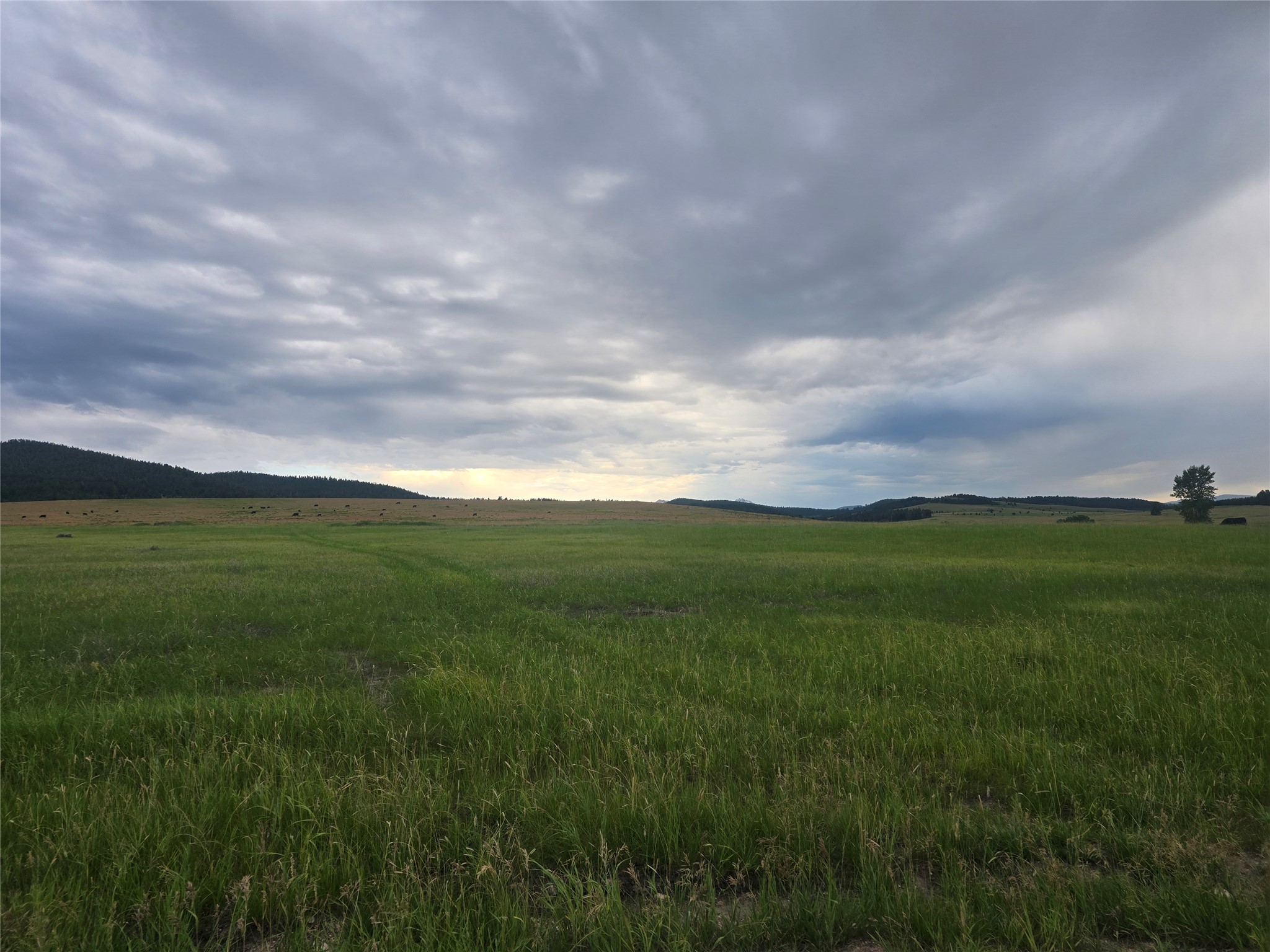 Nhn Meadow View Property Photo 8