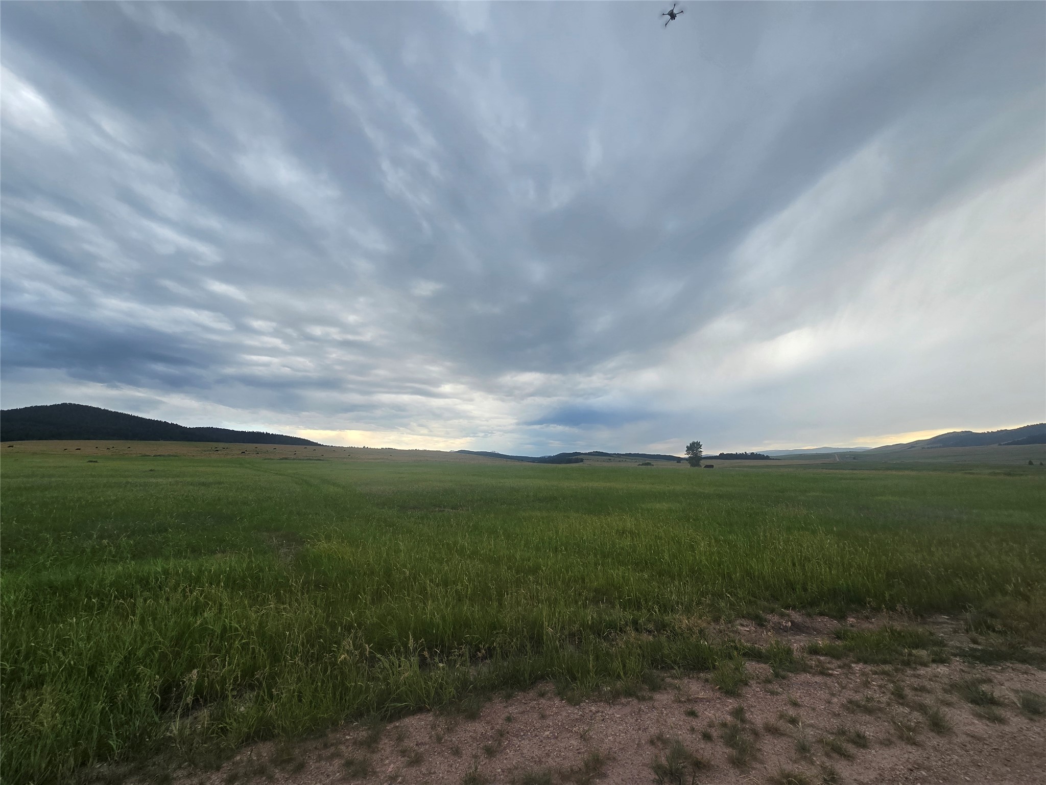 Nhn Meadow View Property Photo 9