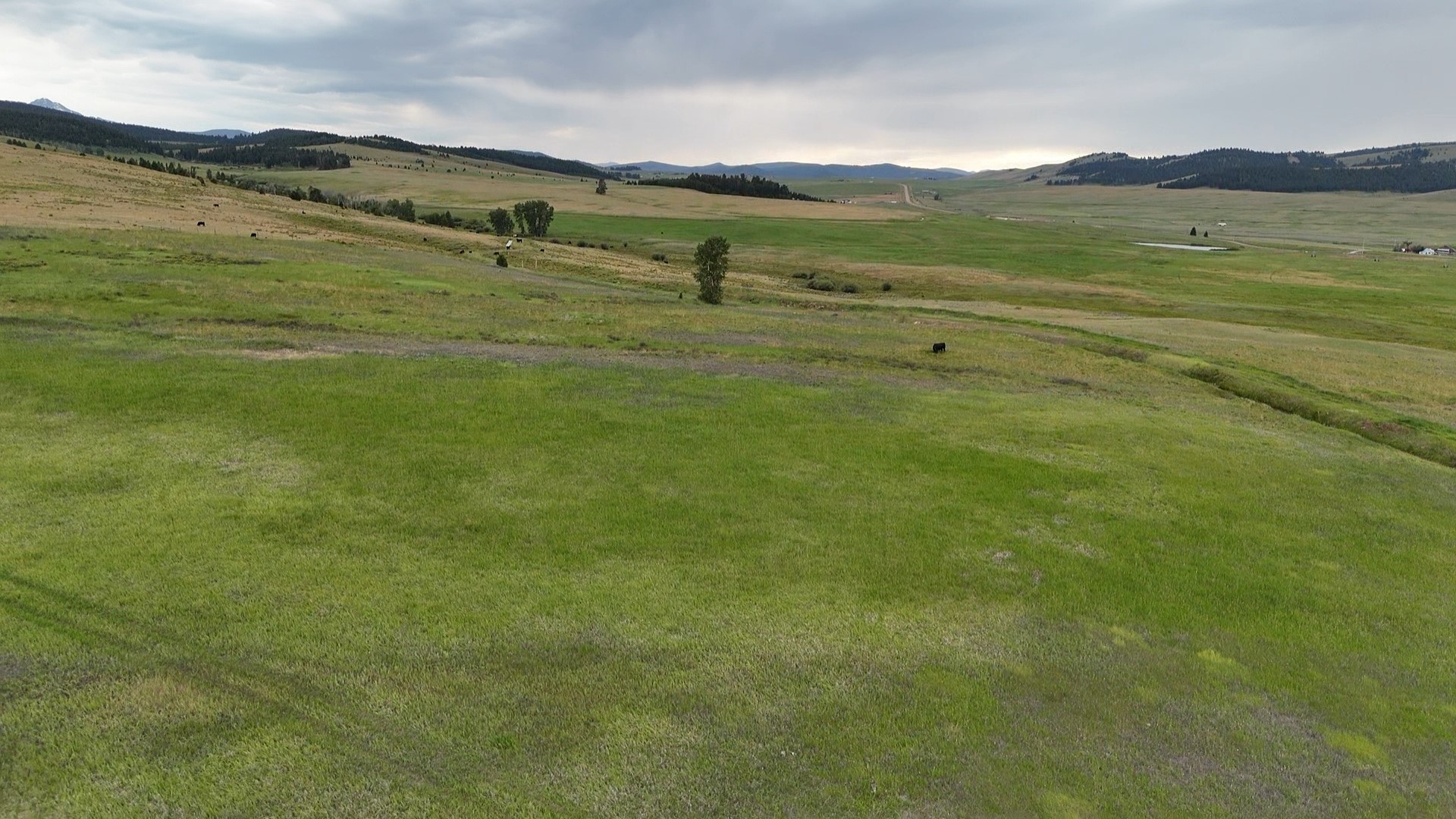 Nhn Meadow View Property Photo 11