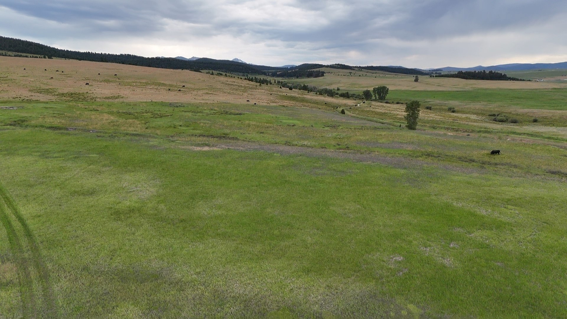 Nhn Meadow View Property Photo 16
