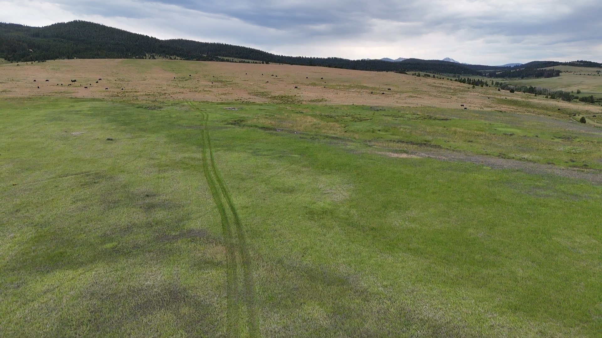 Nhn Meadow View Property Photo 17
