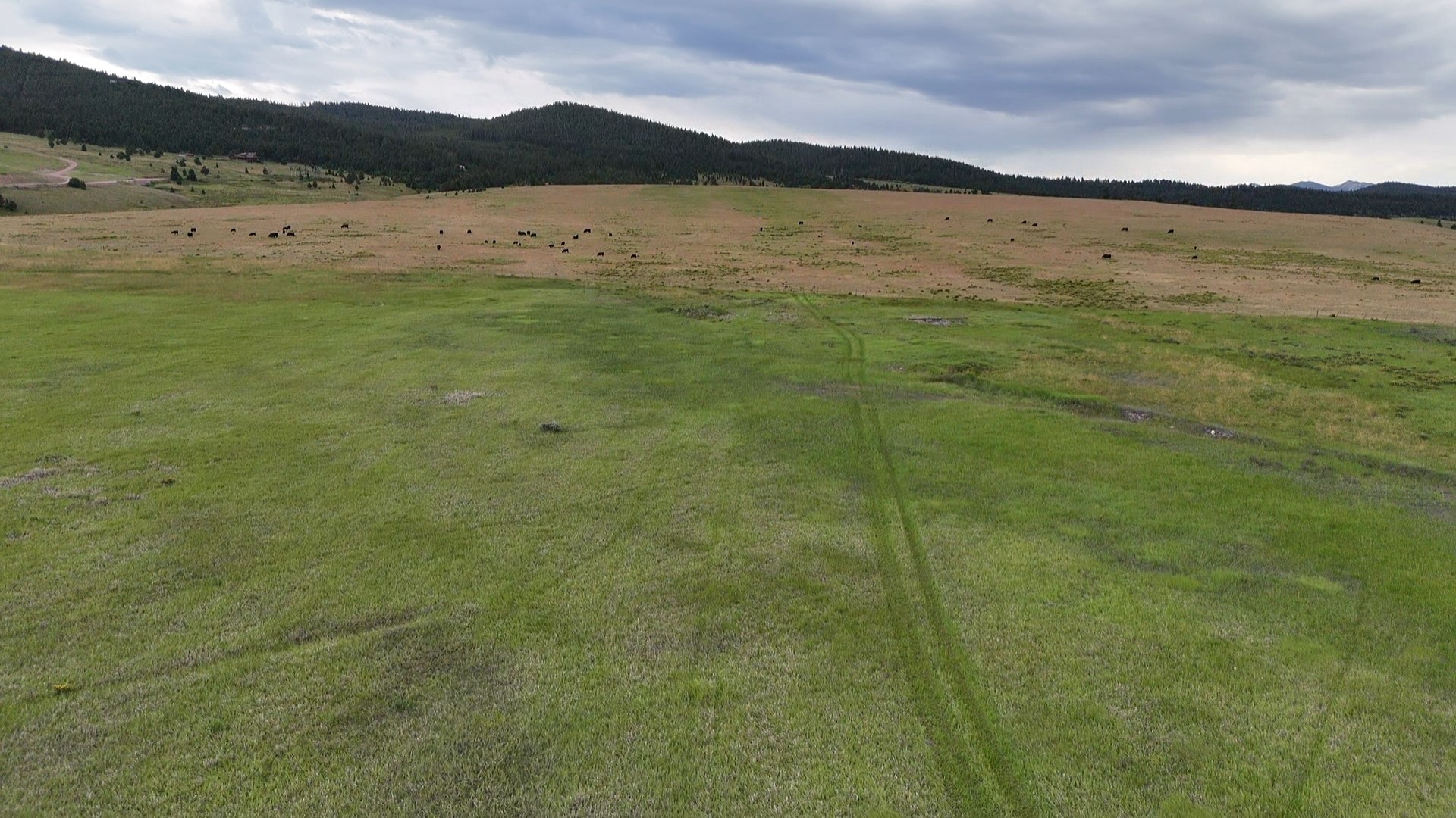 Nhn Meadow View Property Photo 18