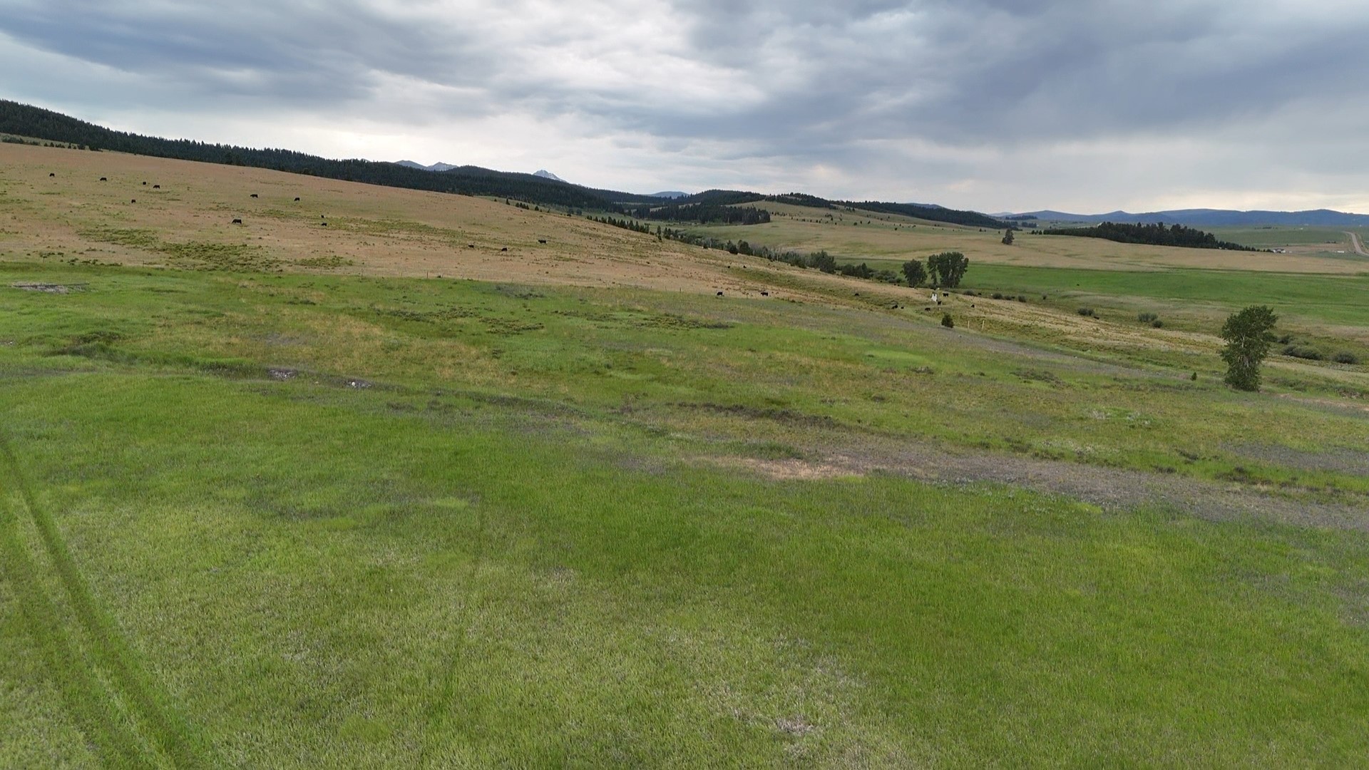 Nhn Meadow View Property Photo 19