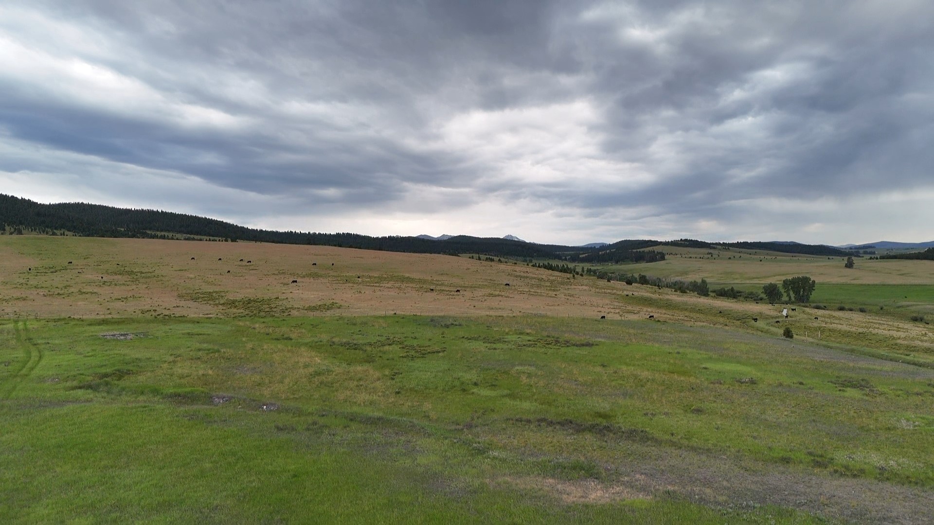 Nhn Meadow View Property Photo 22