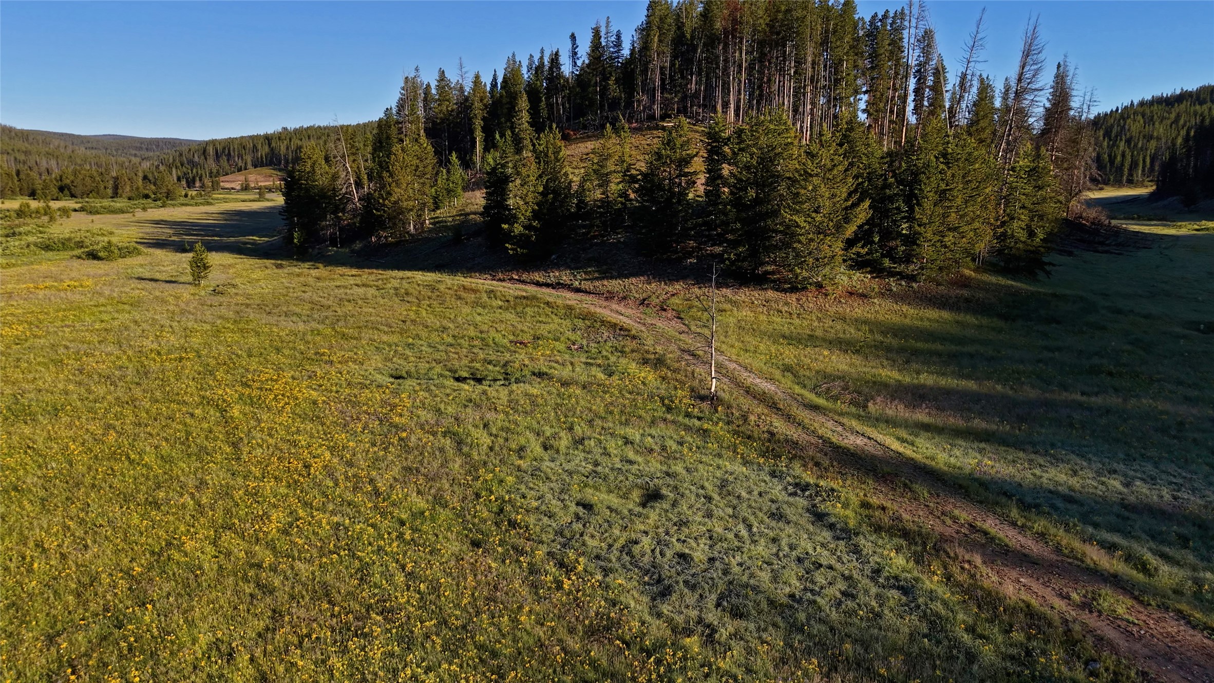 Tbd Hwy 43 Property Photo 3