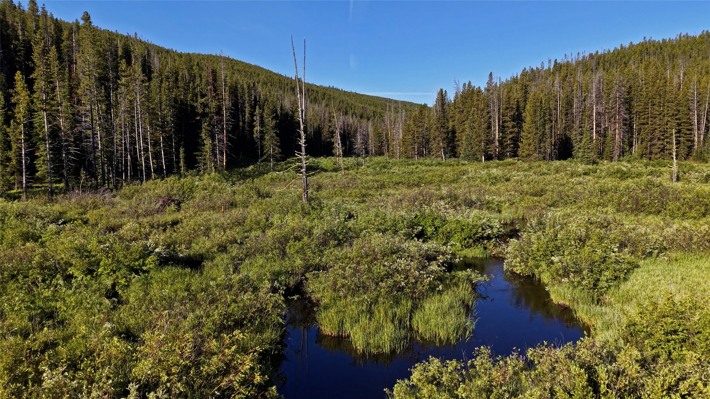 Tbd Hwy 43 Property Photo 4