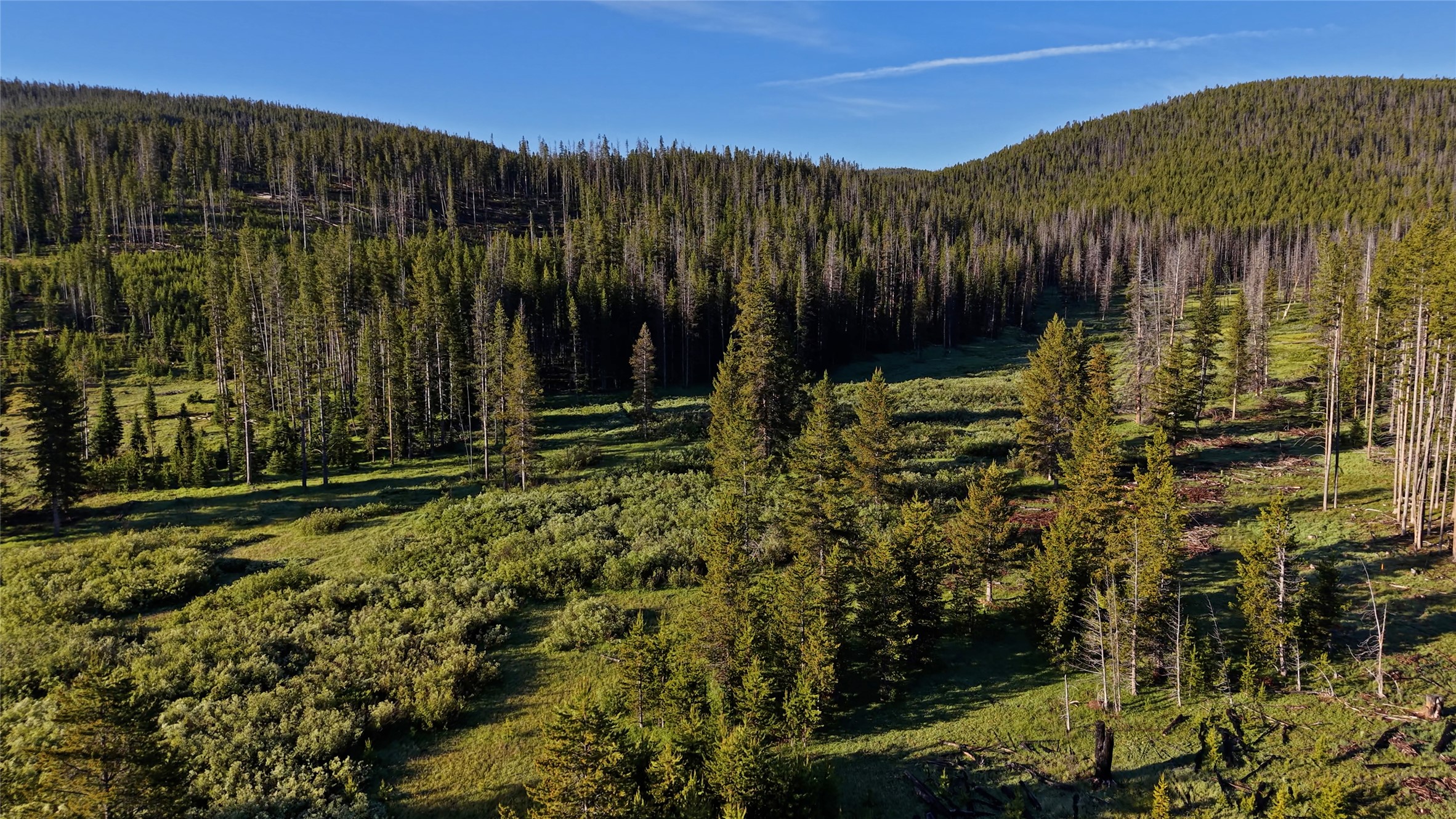 Tbd Hwy 43 Property Photo 8