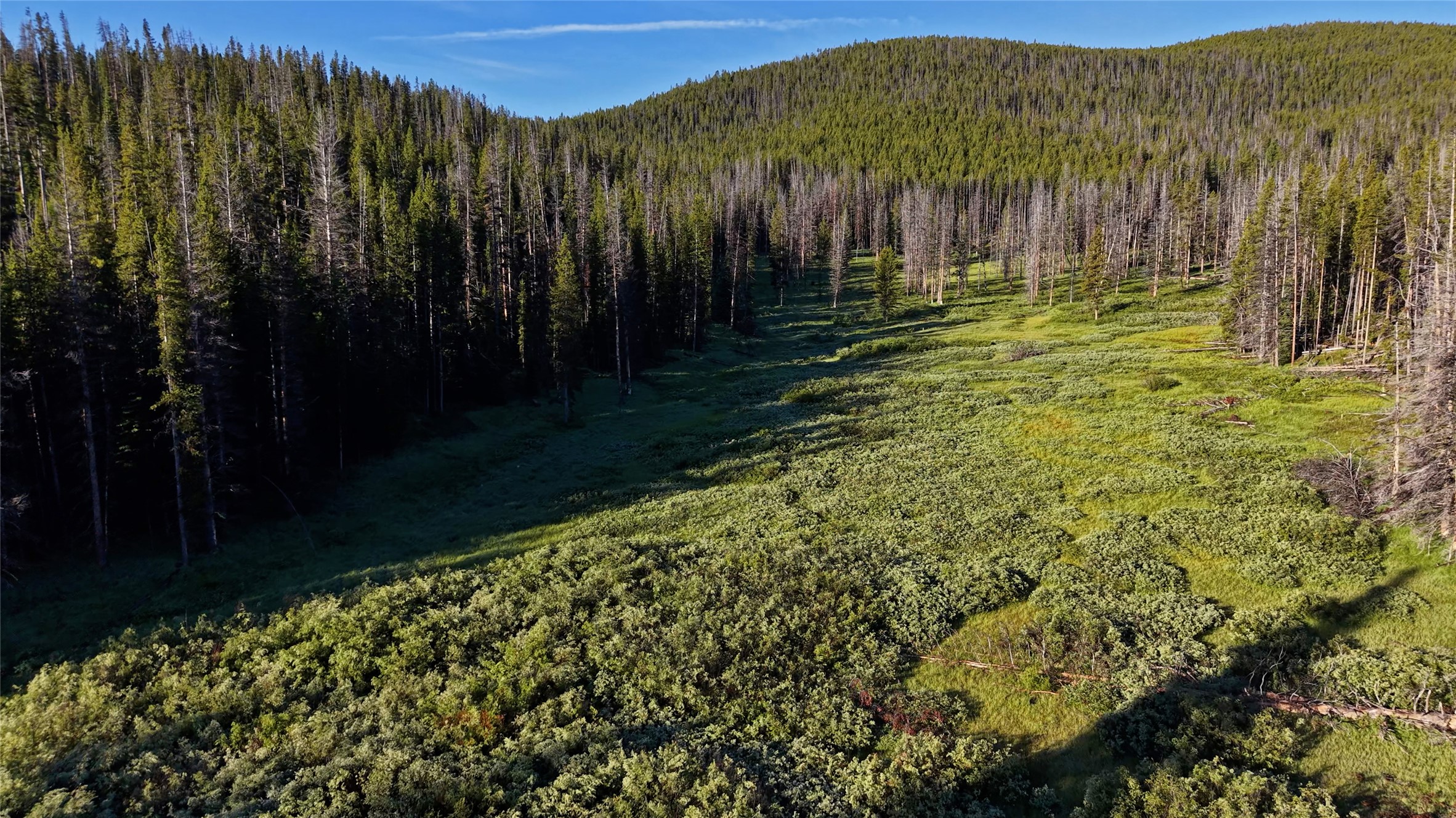 Tbd Hwy 43 Property Photo 22