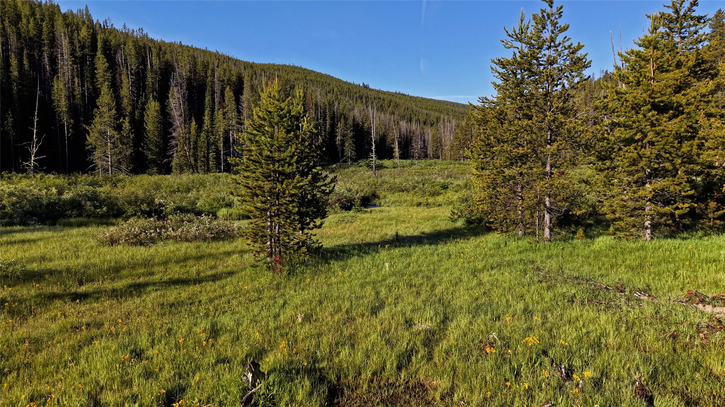 Tbd Hwy 43 Property Photo 44
