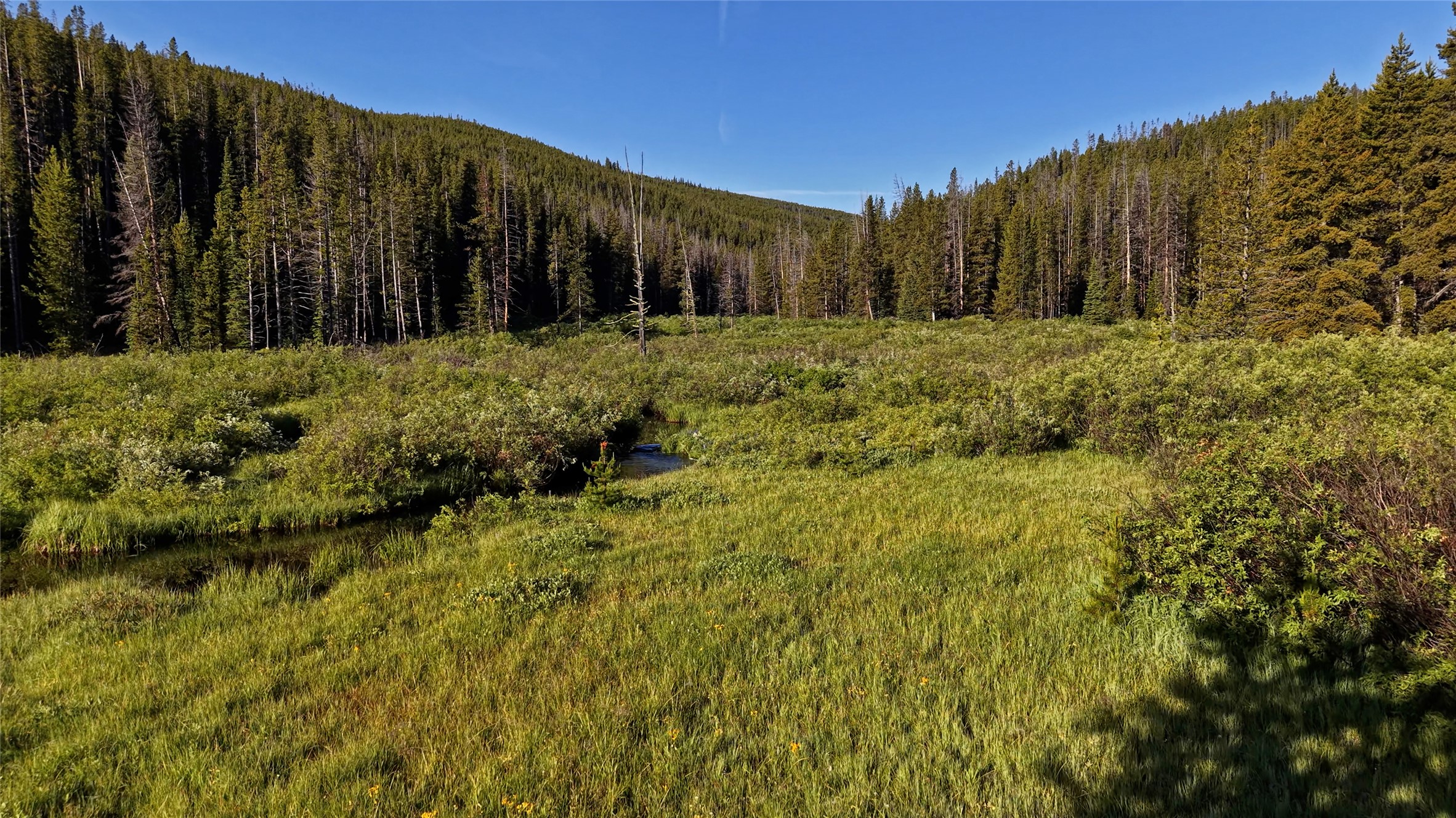 Tbd Hwy 43 Property Photo 49