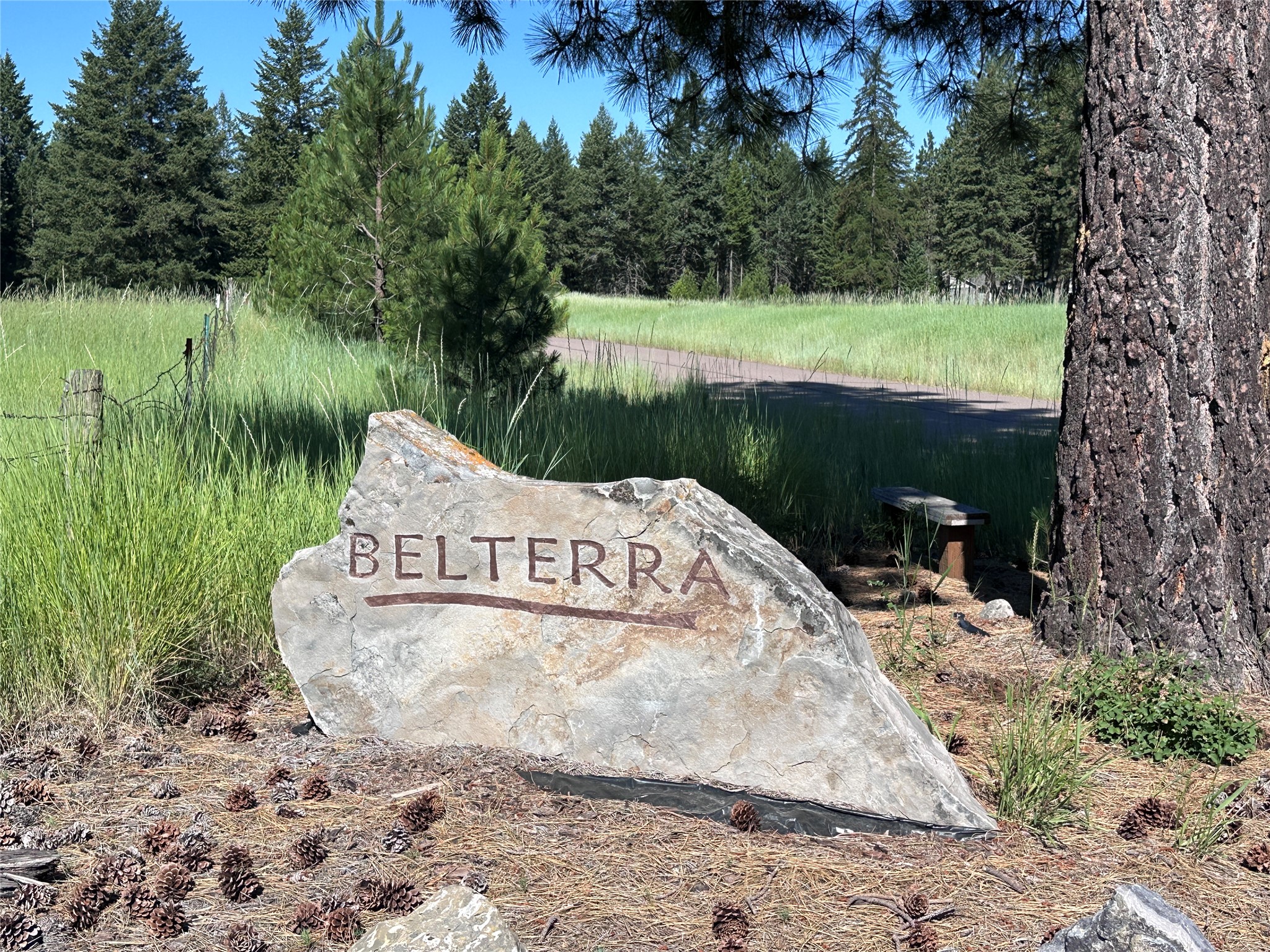 196 Belterra Lane Property Photo 8