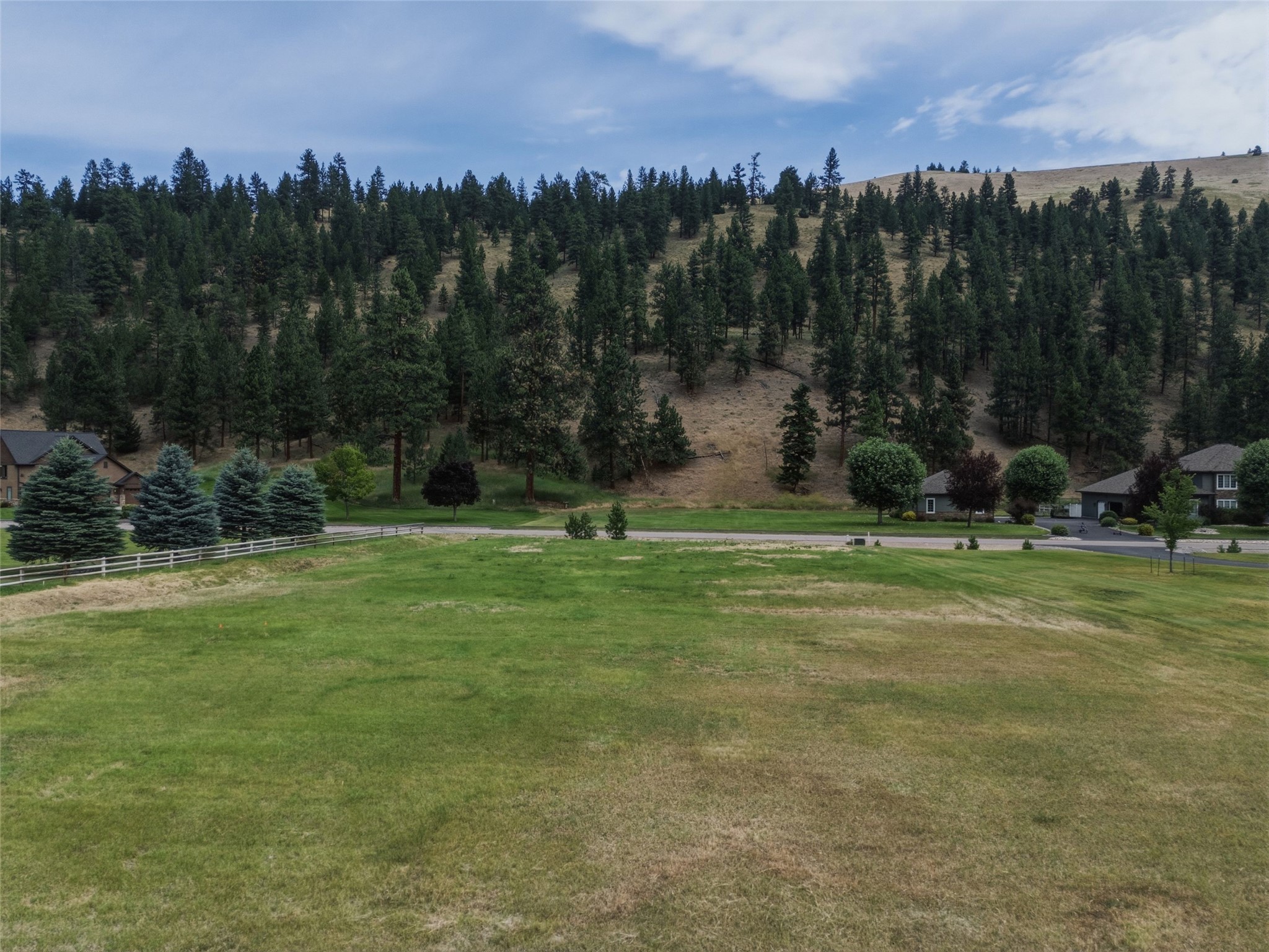 12196 Cowcatcher Drive Property Photo 4