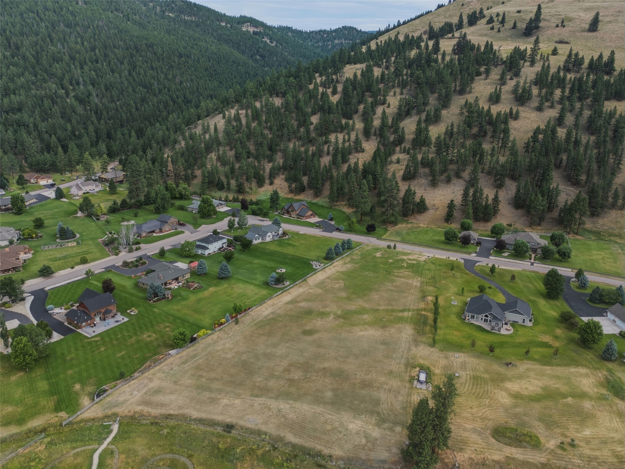 12196 Cowcatcher Drive Property Photo 7