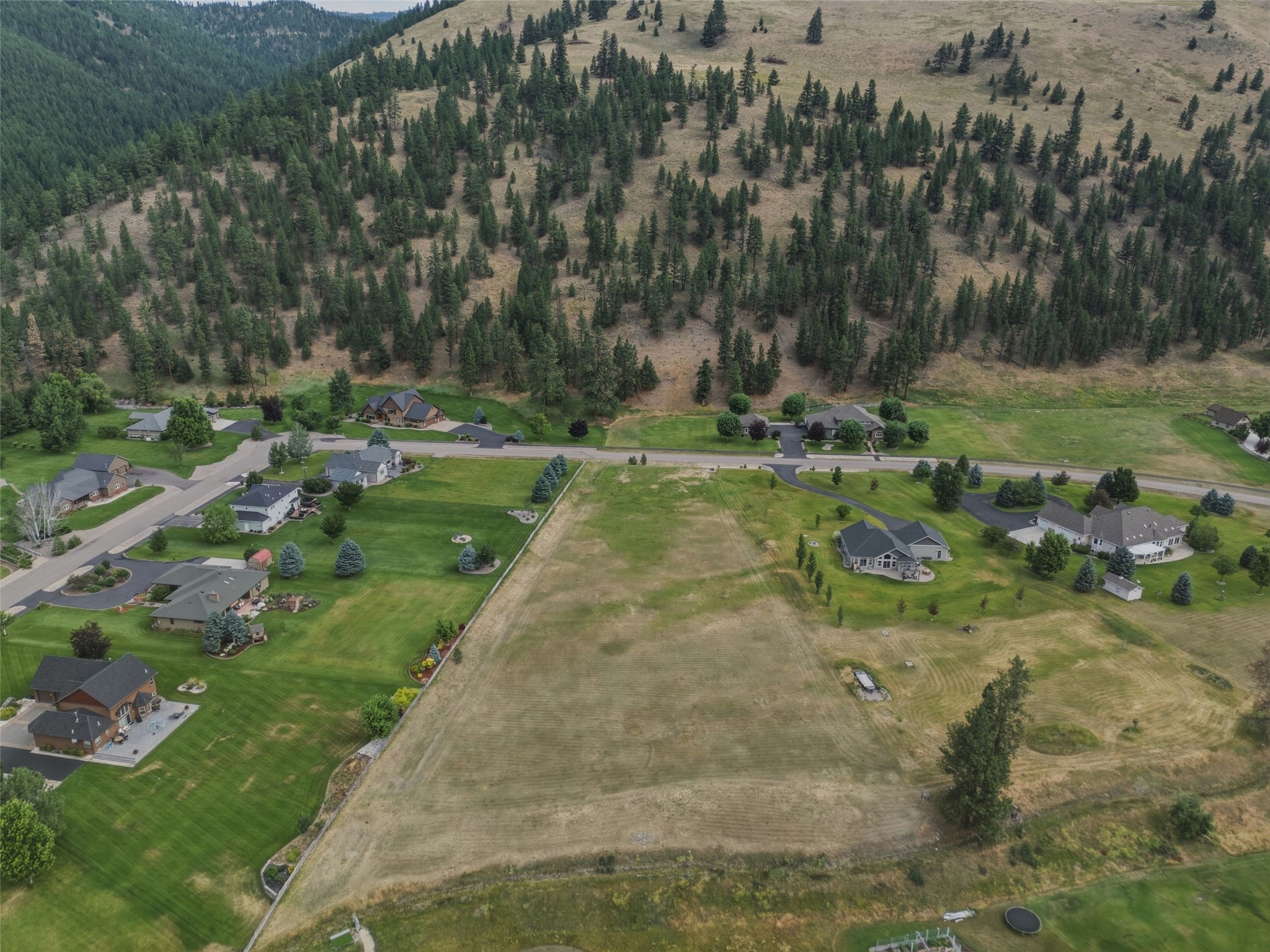 12196 Cowcatcher Drive Property Photo 25