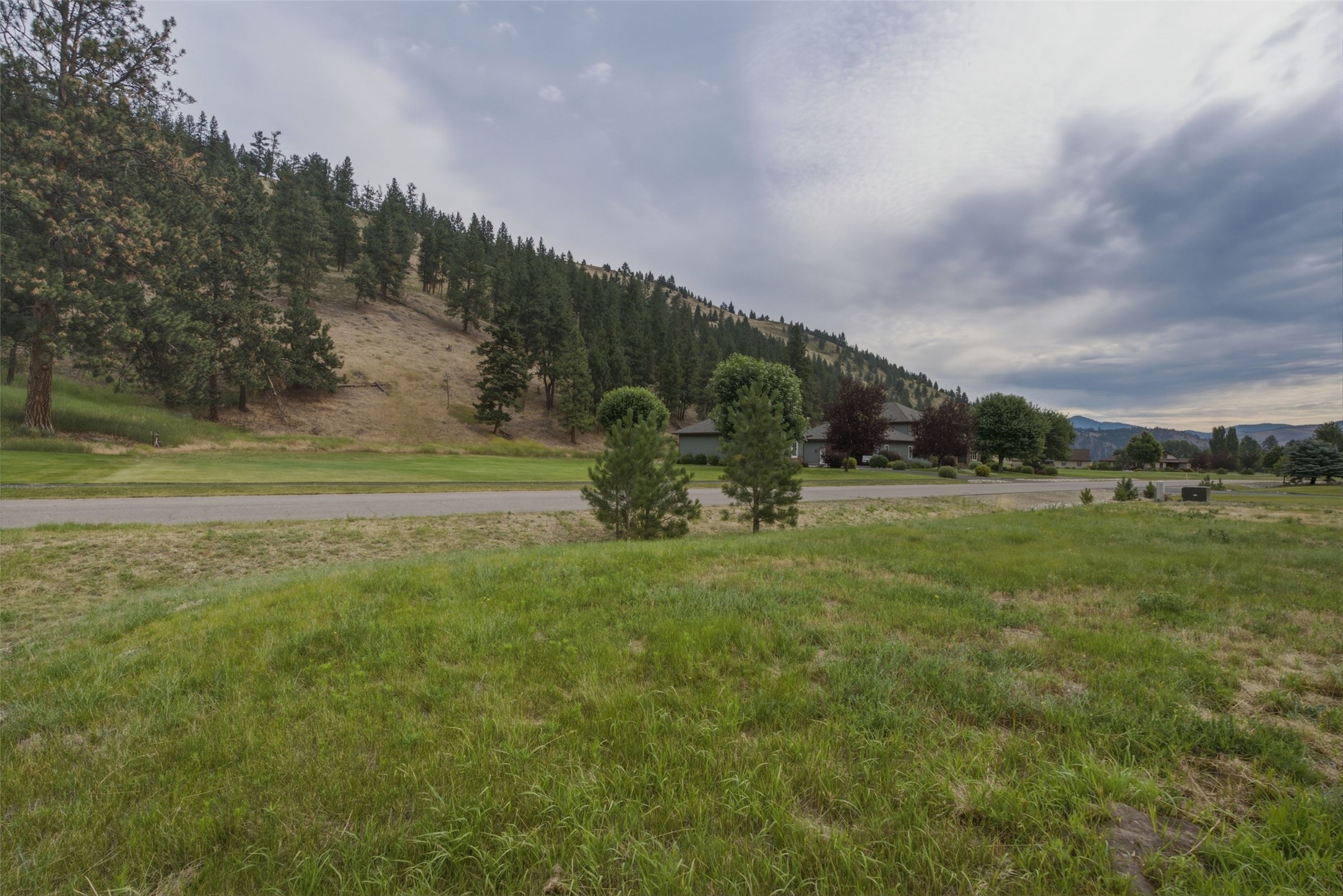 12196 Cowcatcher Drive Property Photo 37