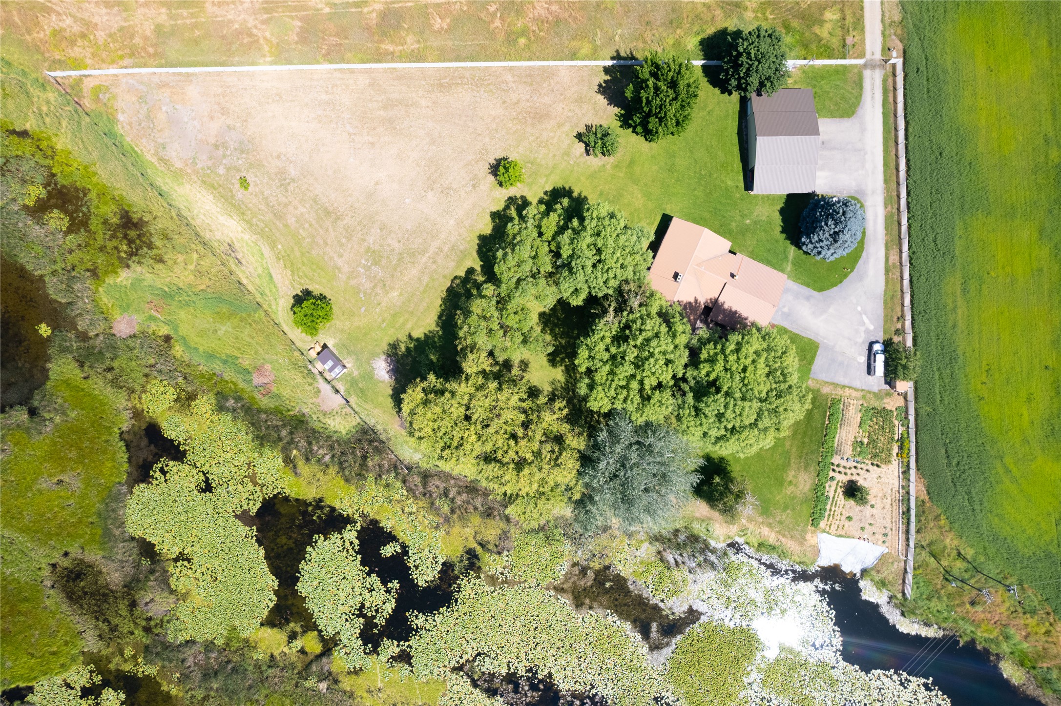 175 Lower Lynch Creek Road Property Photo 78