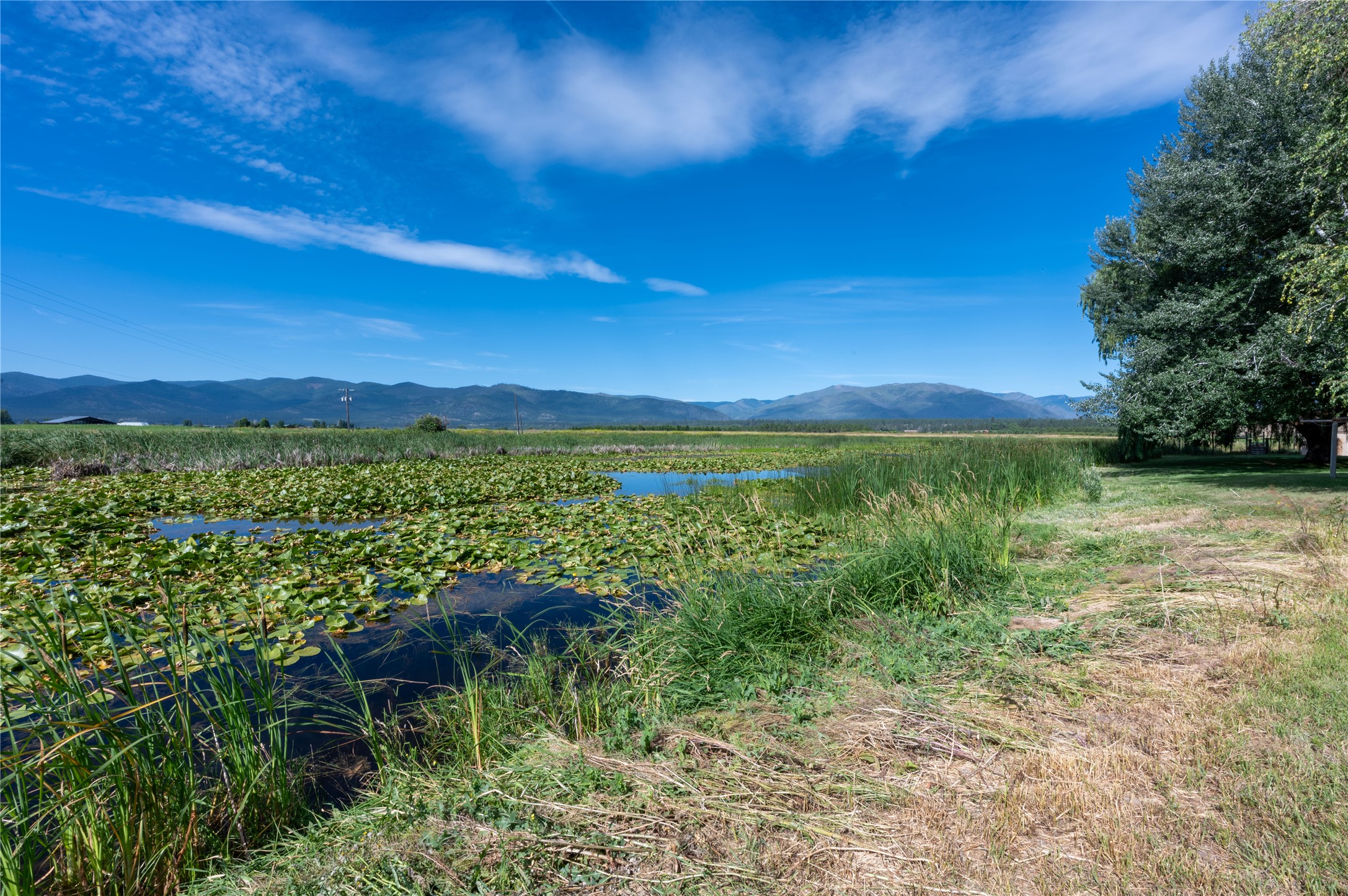 175 Lower Lynch Creek Road Property Photo 88