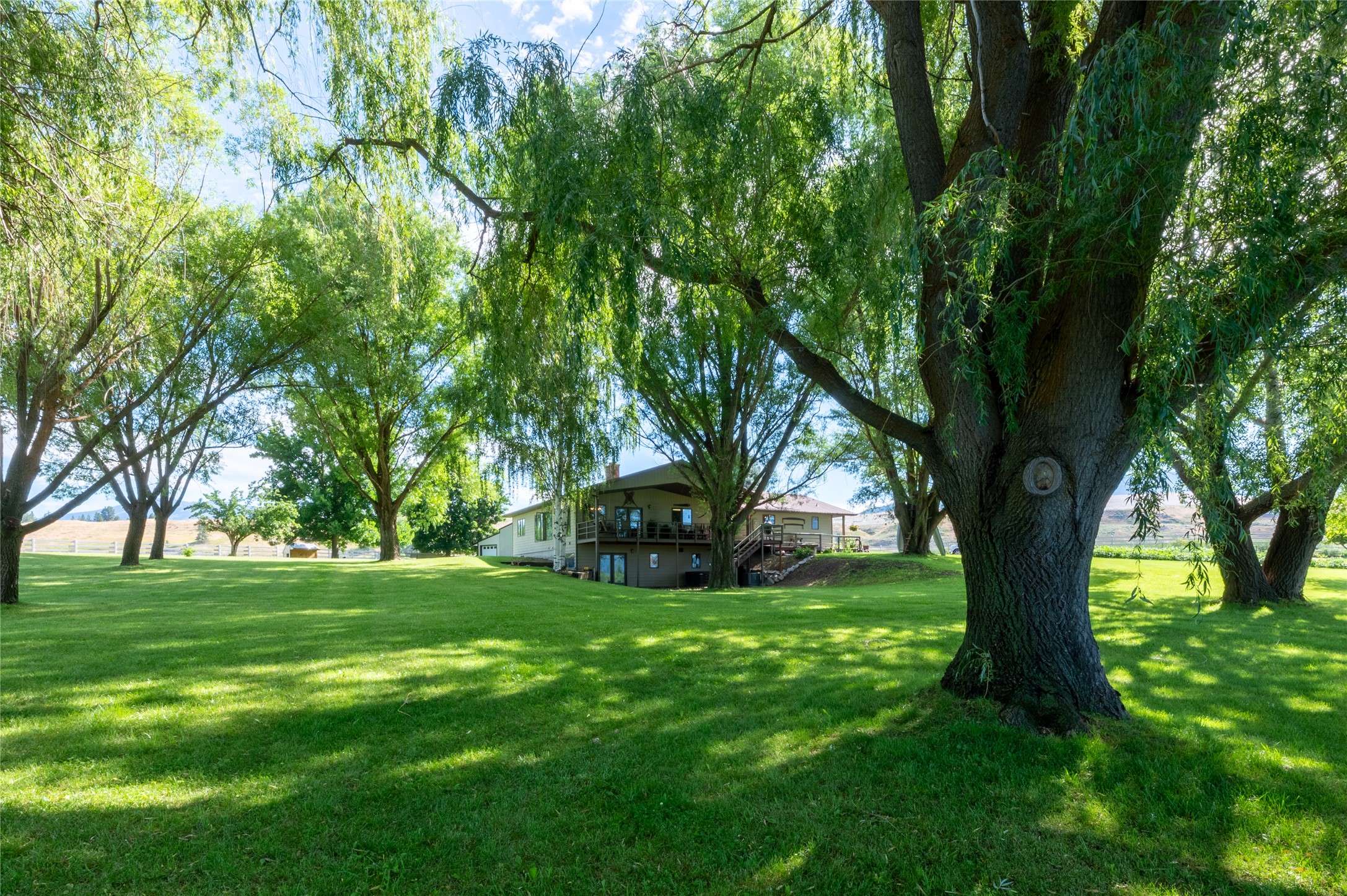 175 Lower Lynch Creek Road Property Photo 93