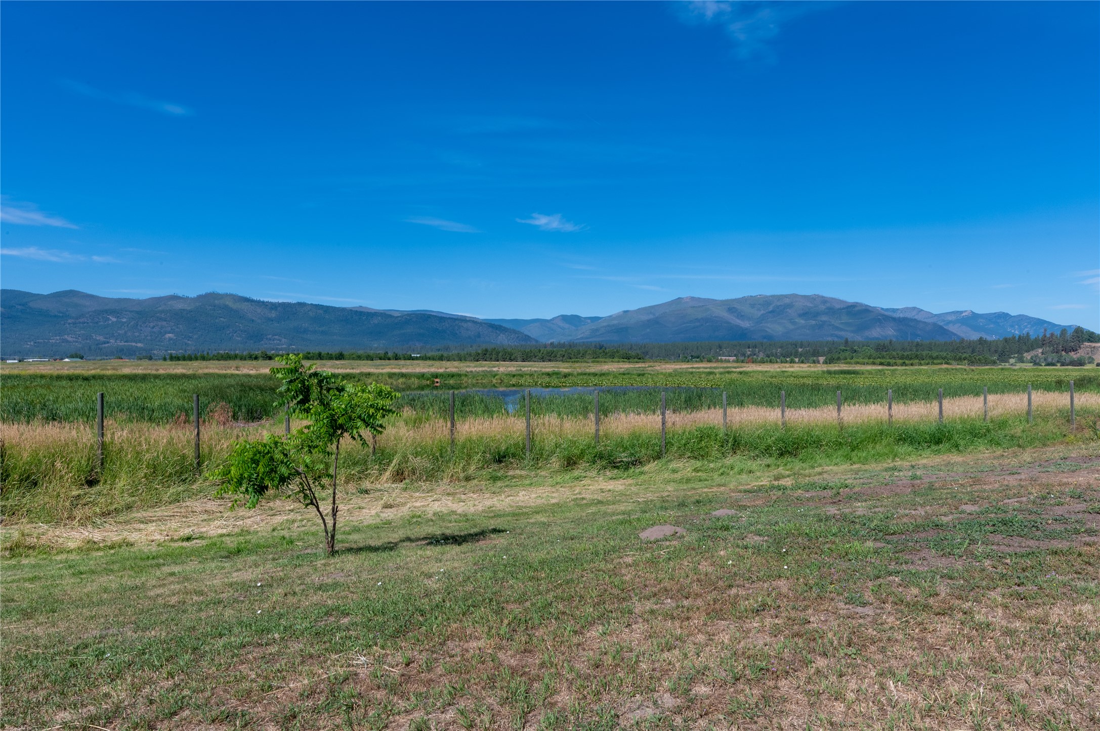 175 Lower Lynch Creek Road Property Photo 95