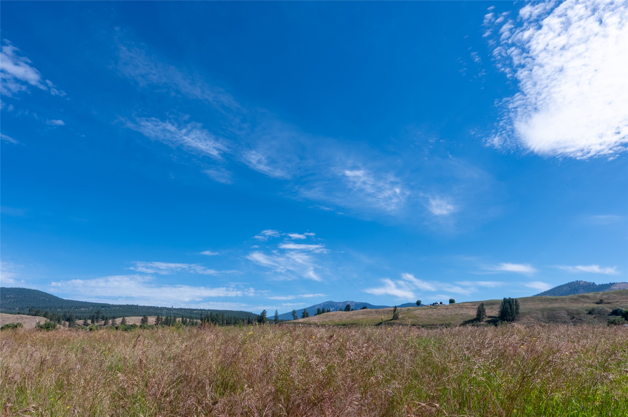 175 Lower Lynch Creek Road Property Photo 96