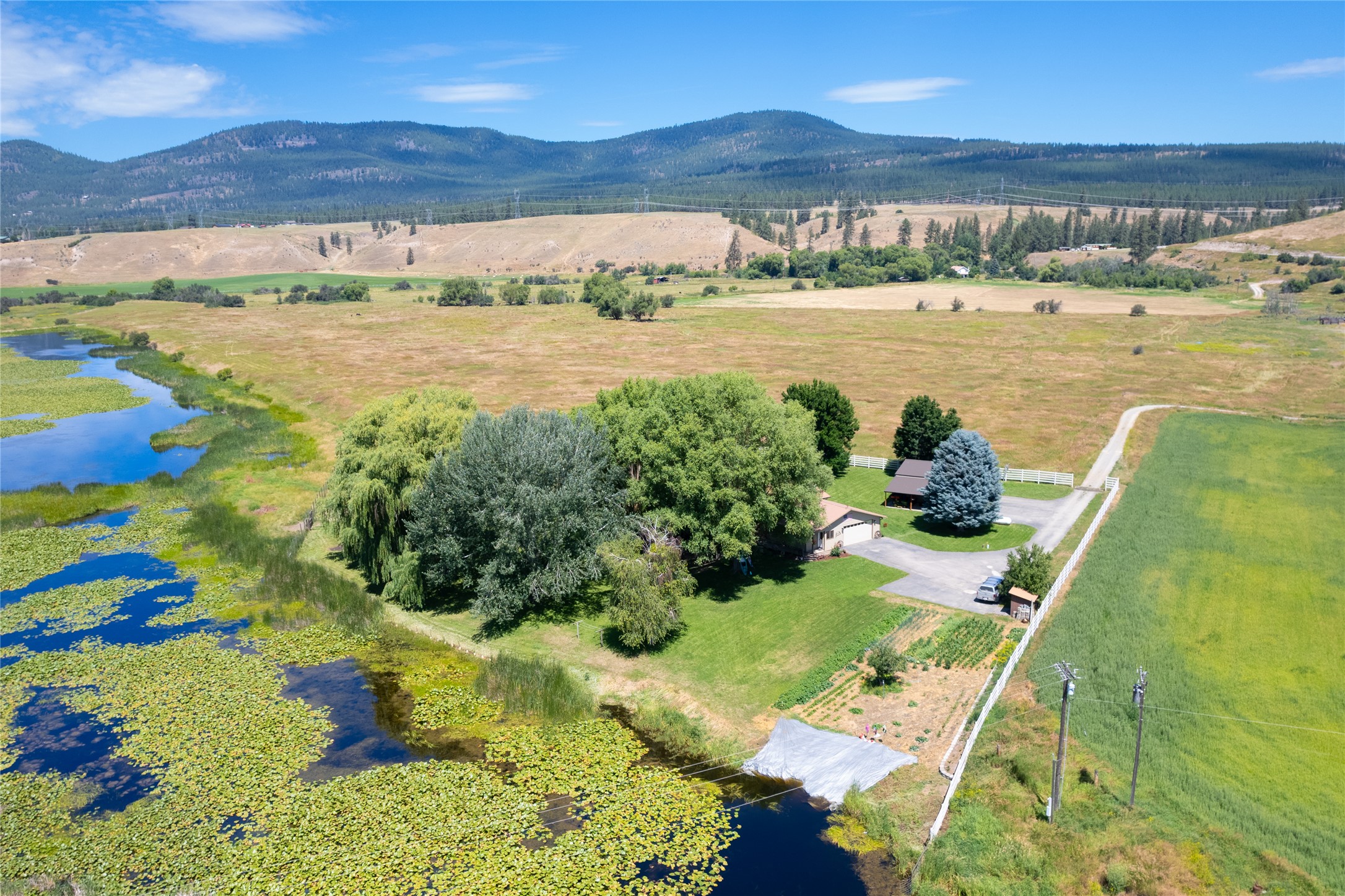 175 Lower Lynch Creek Road Property Photo 116