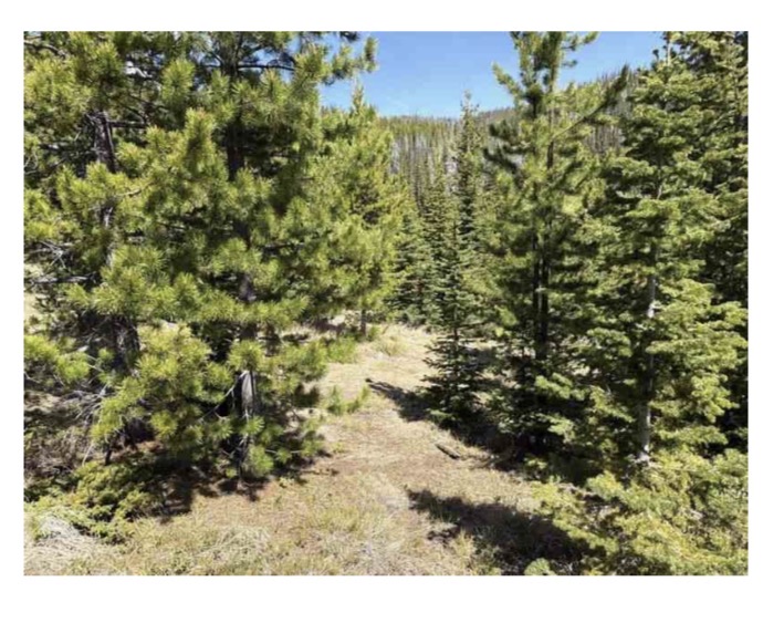 Nhn Corral Gulch Road Property Photo 1