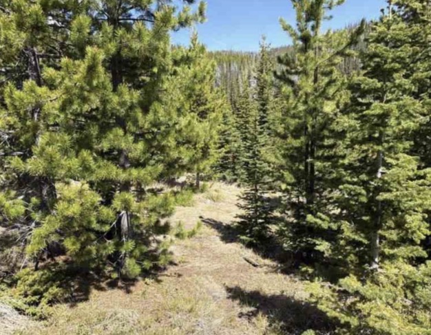 Nhn Corral Gulch Road Property Photo 2