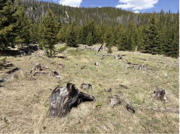 Nhn Corral Gulch Road Property Photo 4