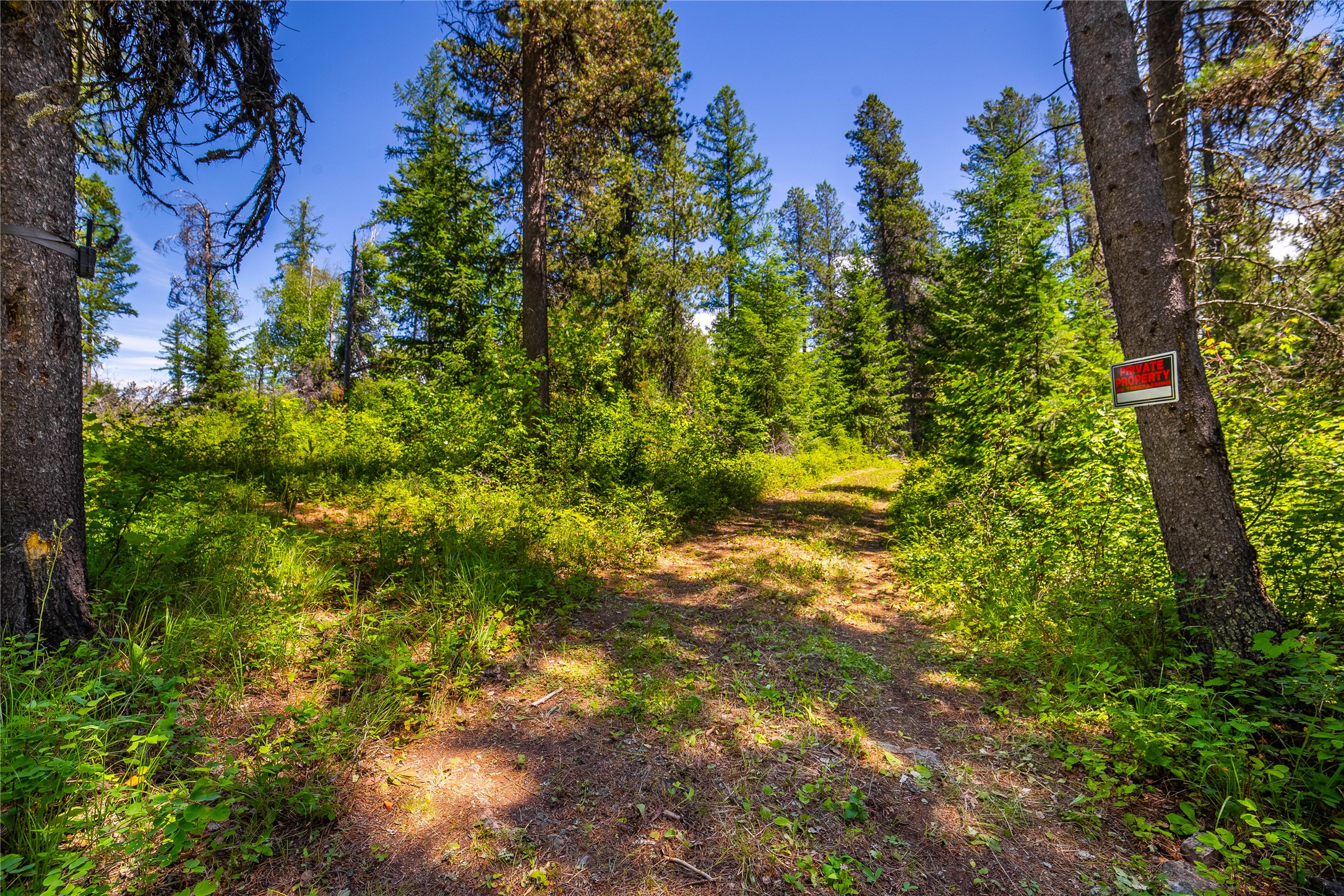Parcel C 11315 Us Hwy 2 E Property Photo 1