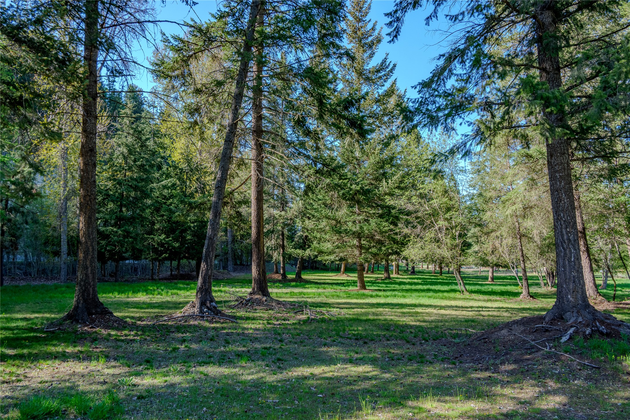 128 Cedar Extension Property Photo 5