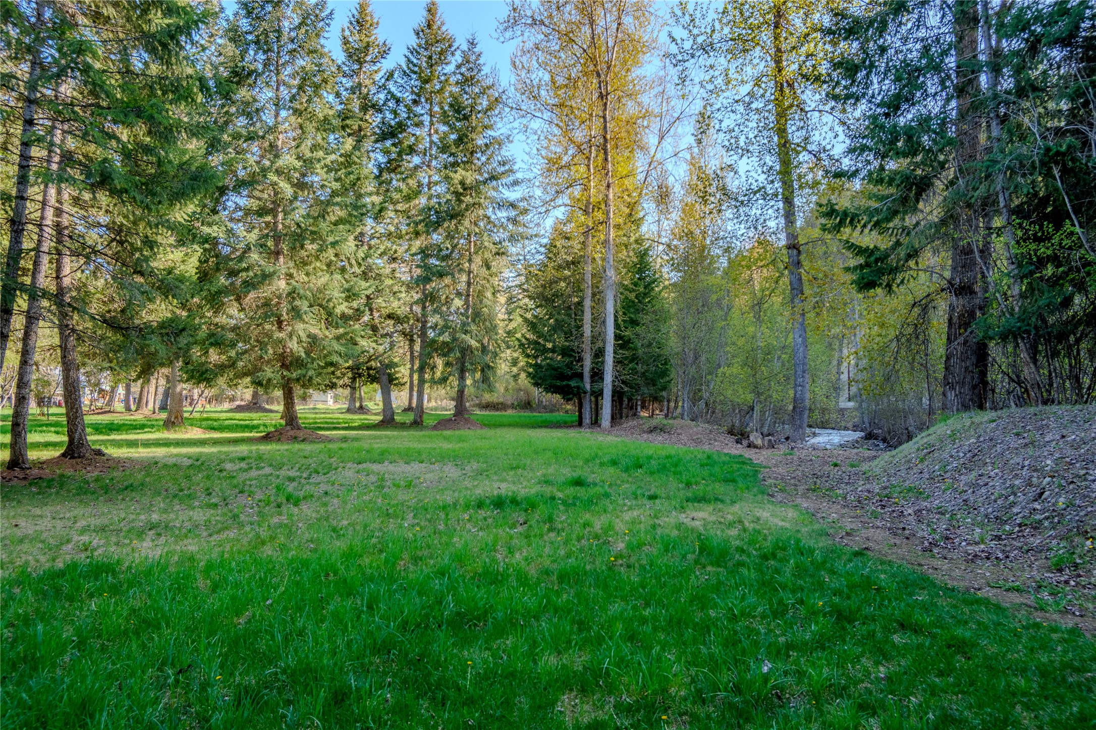 128 Cedar Extension Property Photo 47