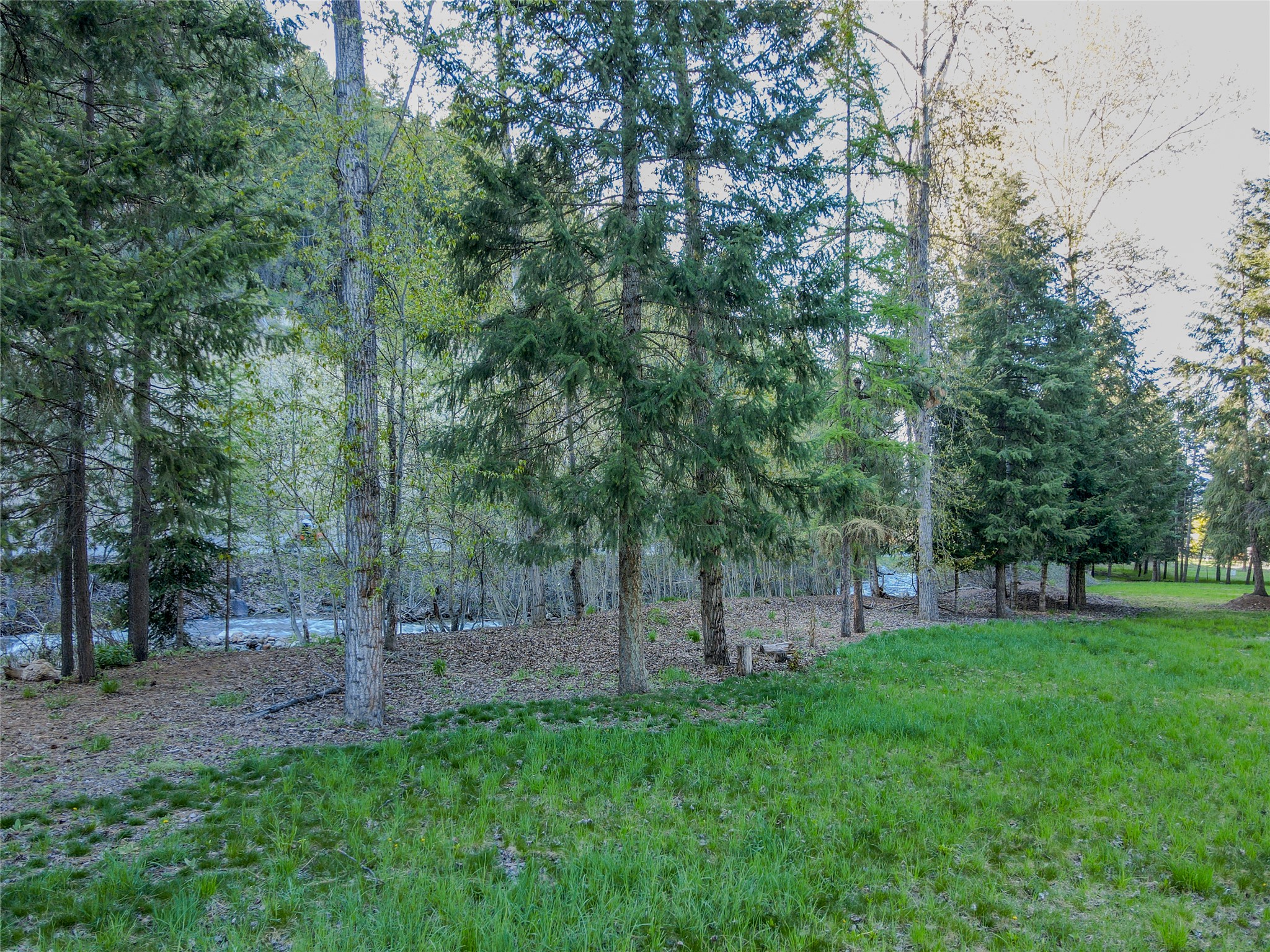 128 Cedar Extension Property Photo 52
