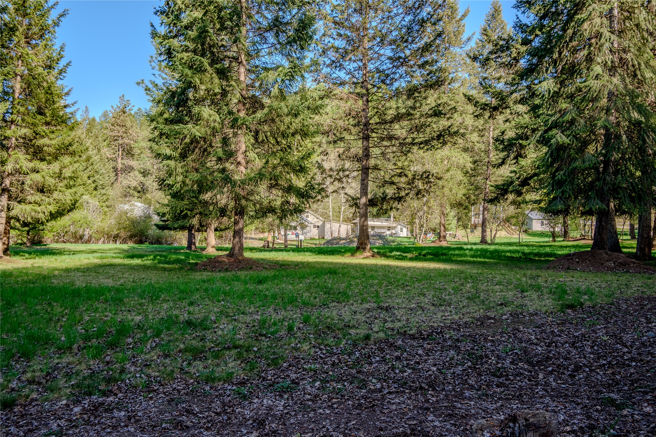 128 Cedar Extension Property Photo 56