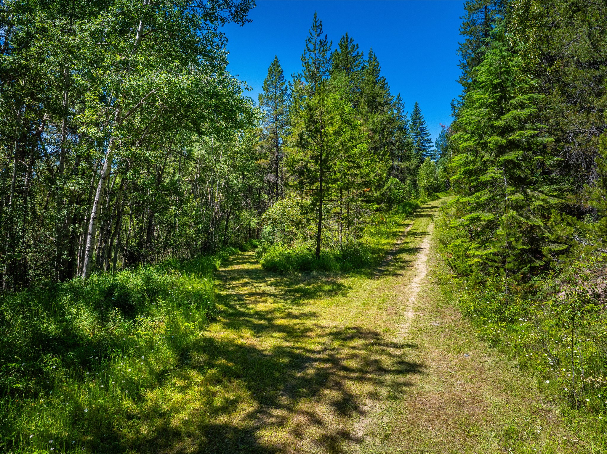 11315 Us Hwy 2 E Property Photo 32