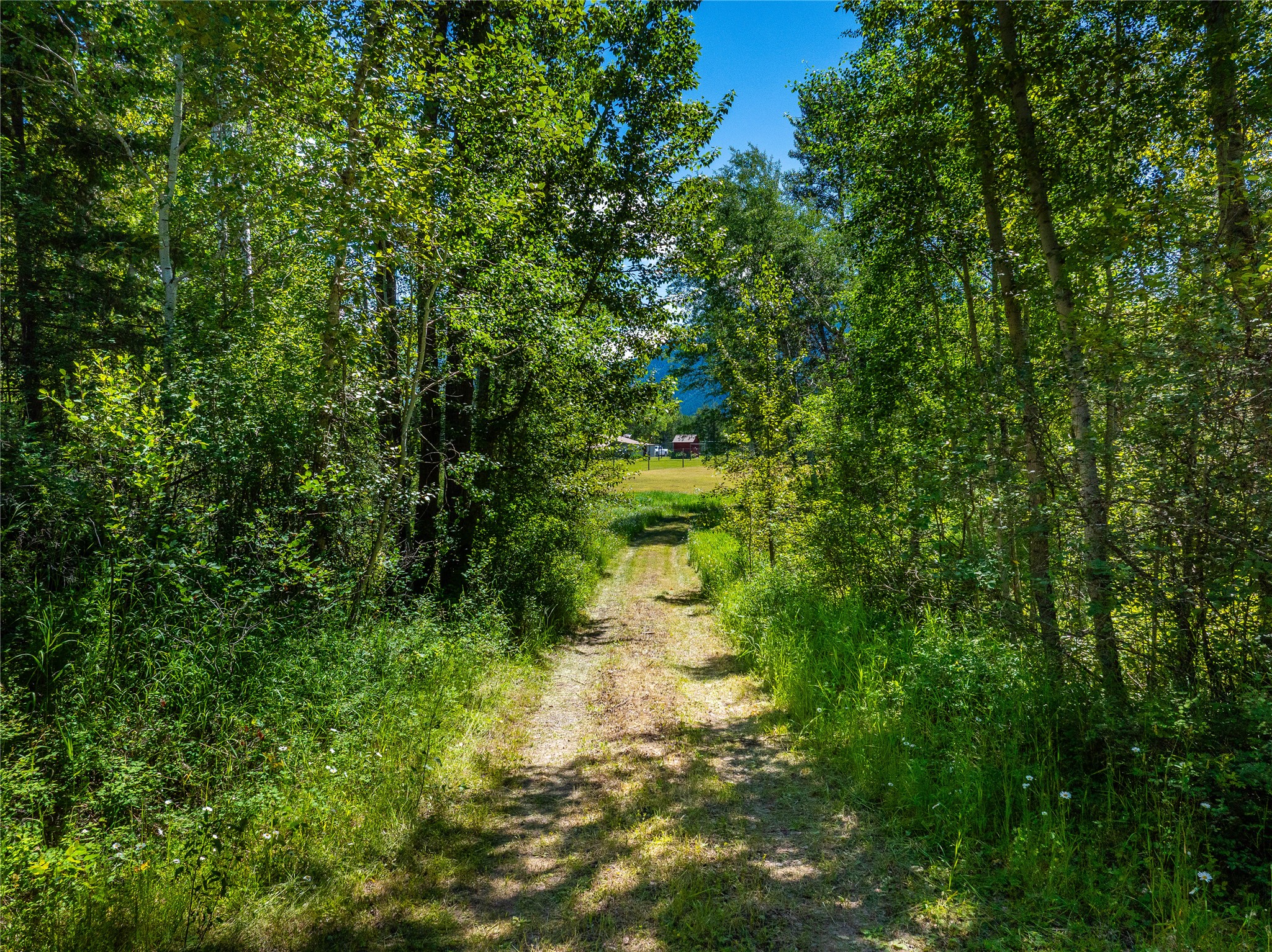 11315 Us Hwy 2 E Property Photo 33