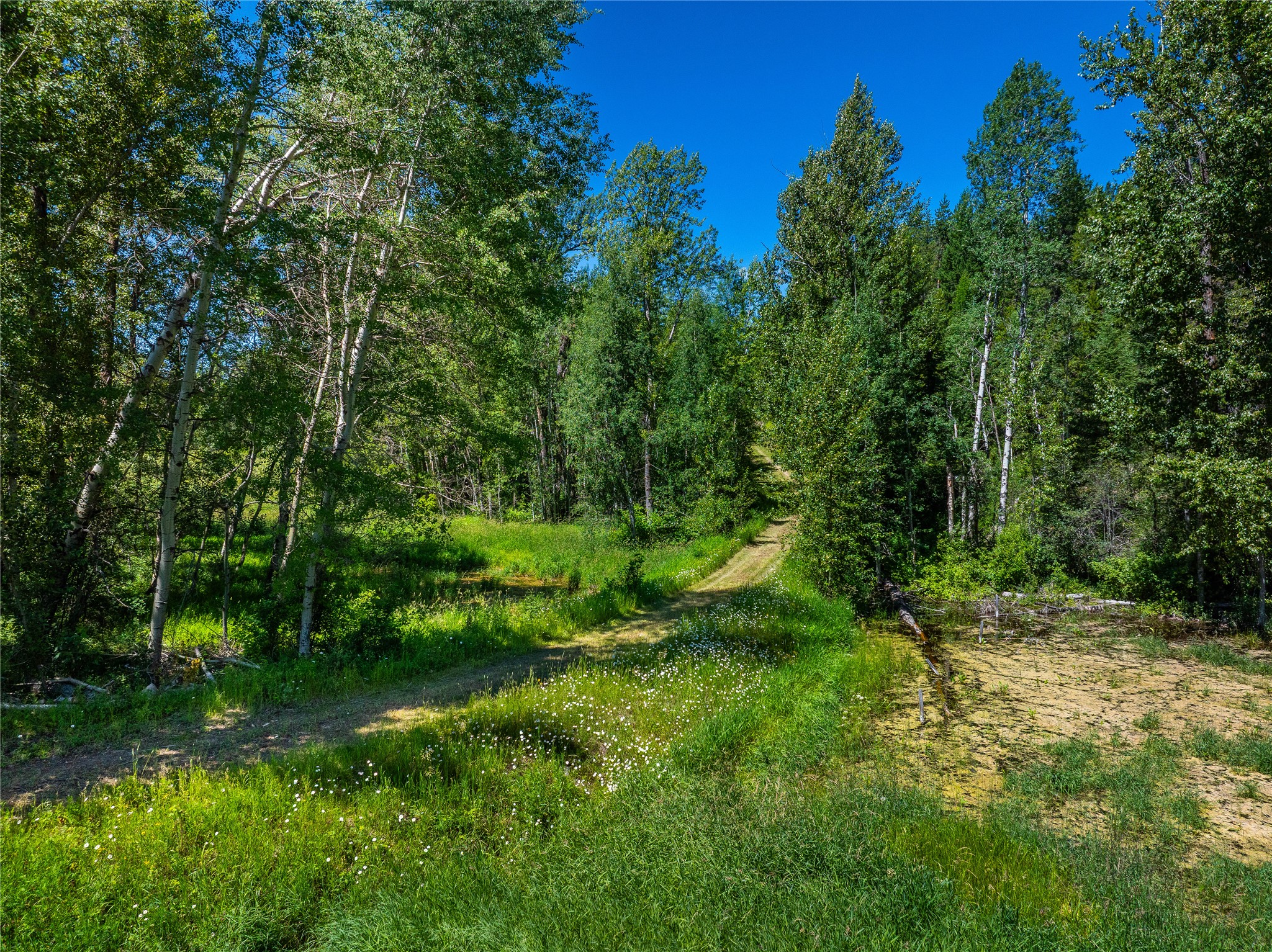 11315 Us Hwy 2 E Property Photo 34