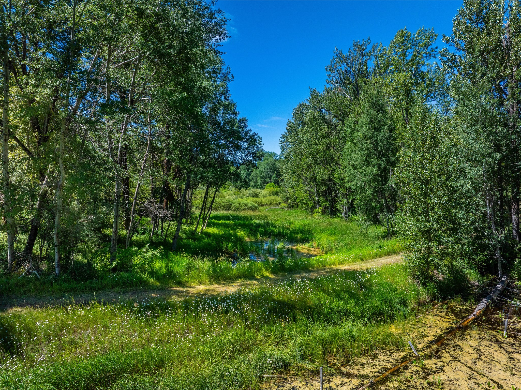 11315 Us Hwy 2 E Property Photo 35