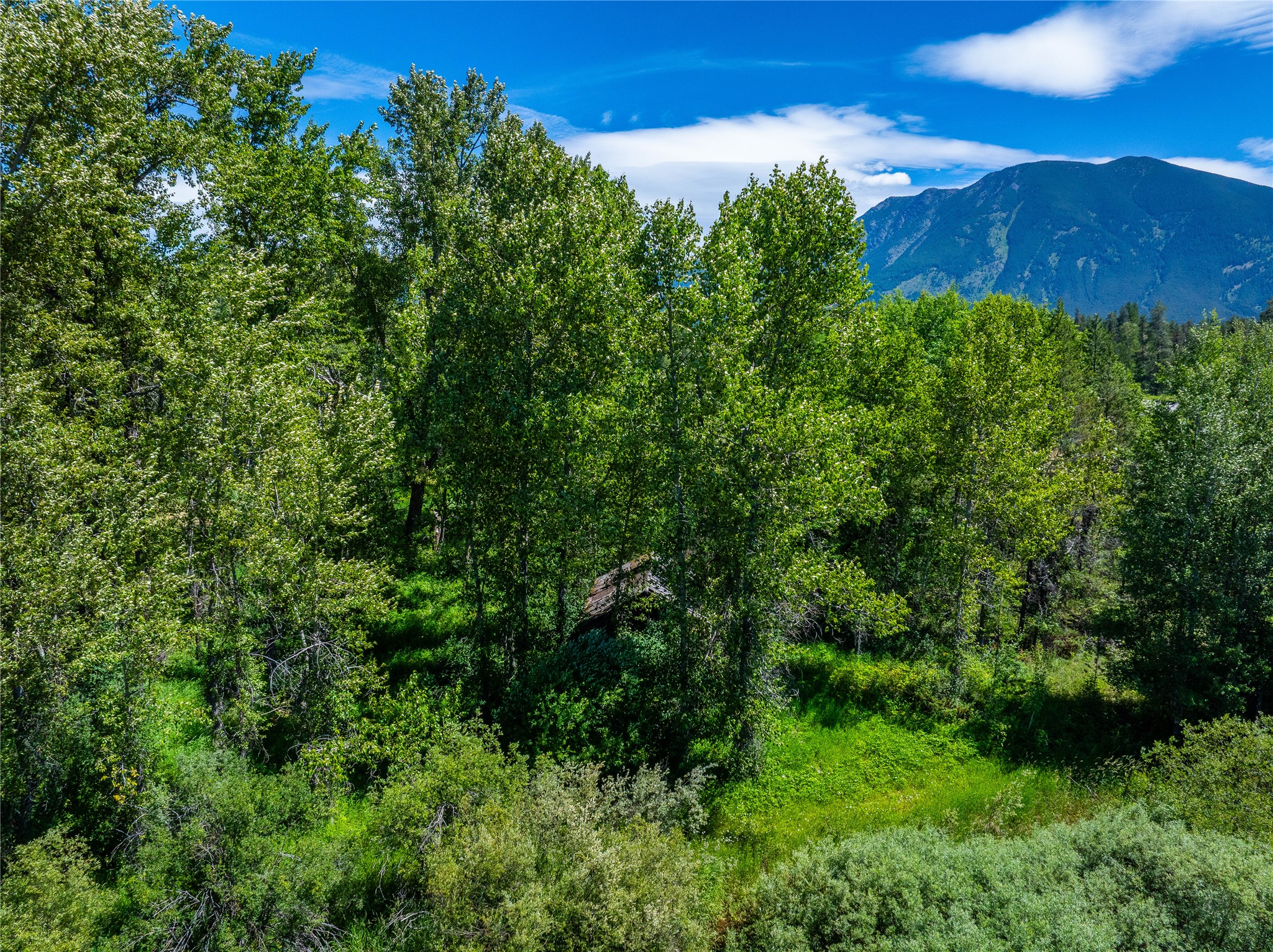 11315 Us Hwy 2 E Property Photo 40