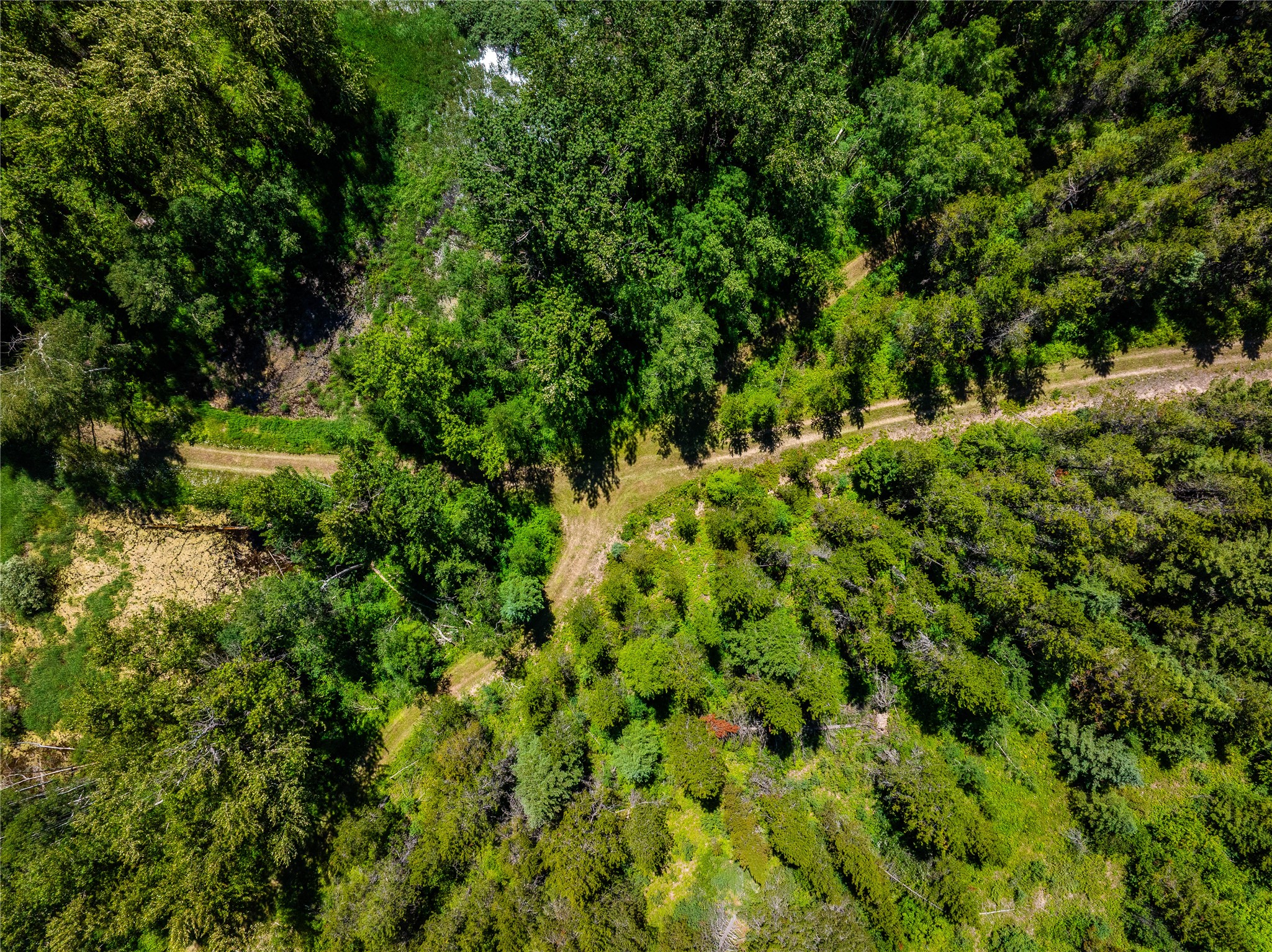 11315 Us Hwy 2 E Property Photo 49