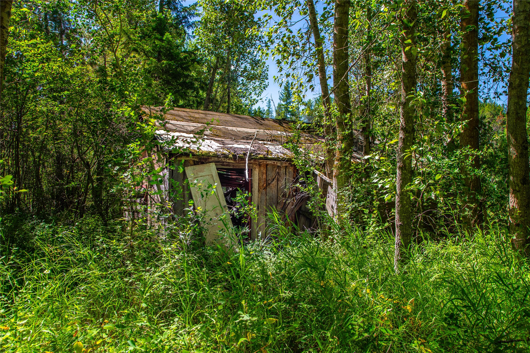 11315 Us Hwy 2 E Property Photo 52