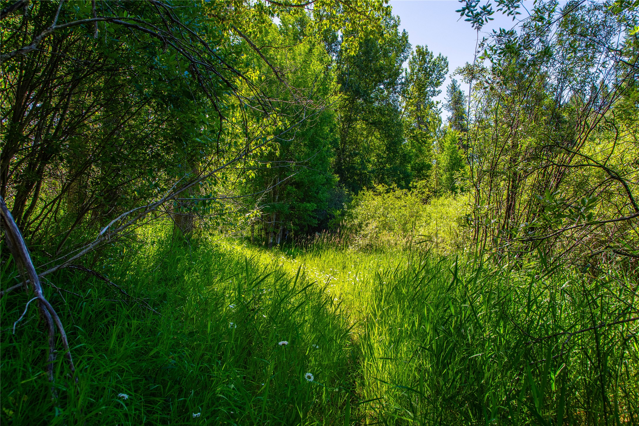 11315 Us Hwy 2 E Property Photo 54