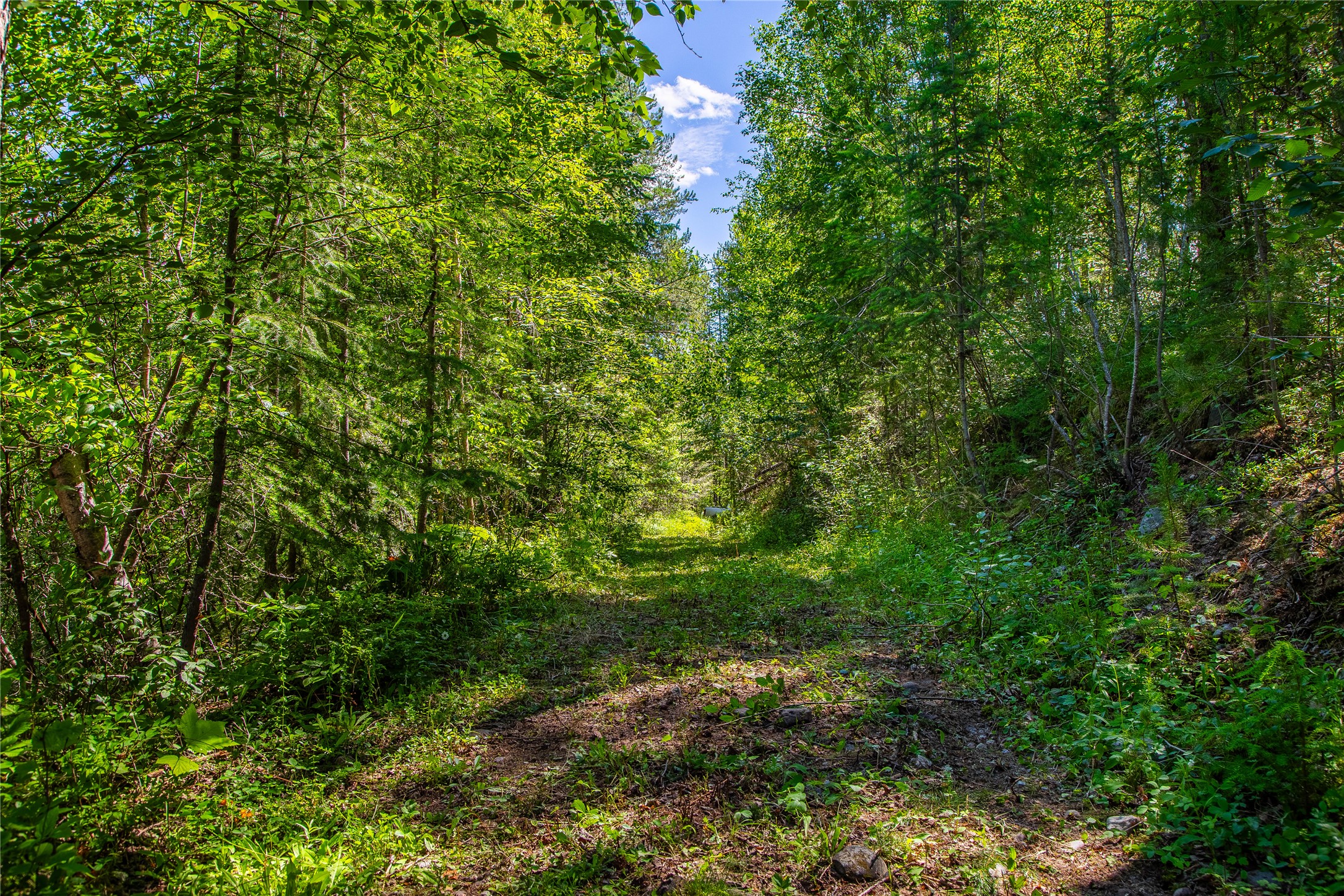 11315 Us Hwy 2 E Property Photo 55