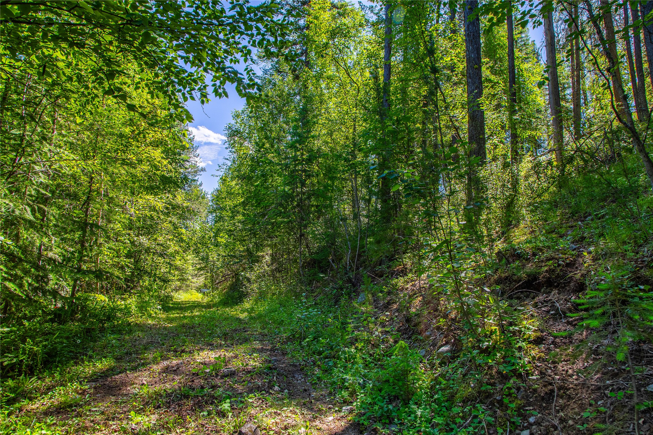 11315 Us Hwy 2 E Property Photo 56