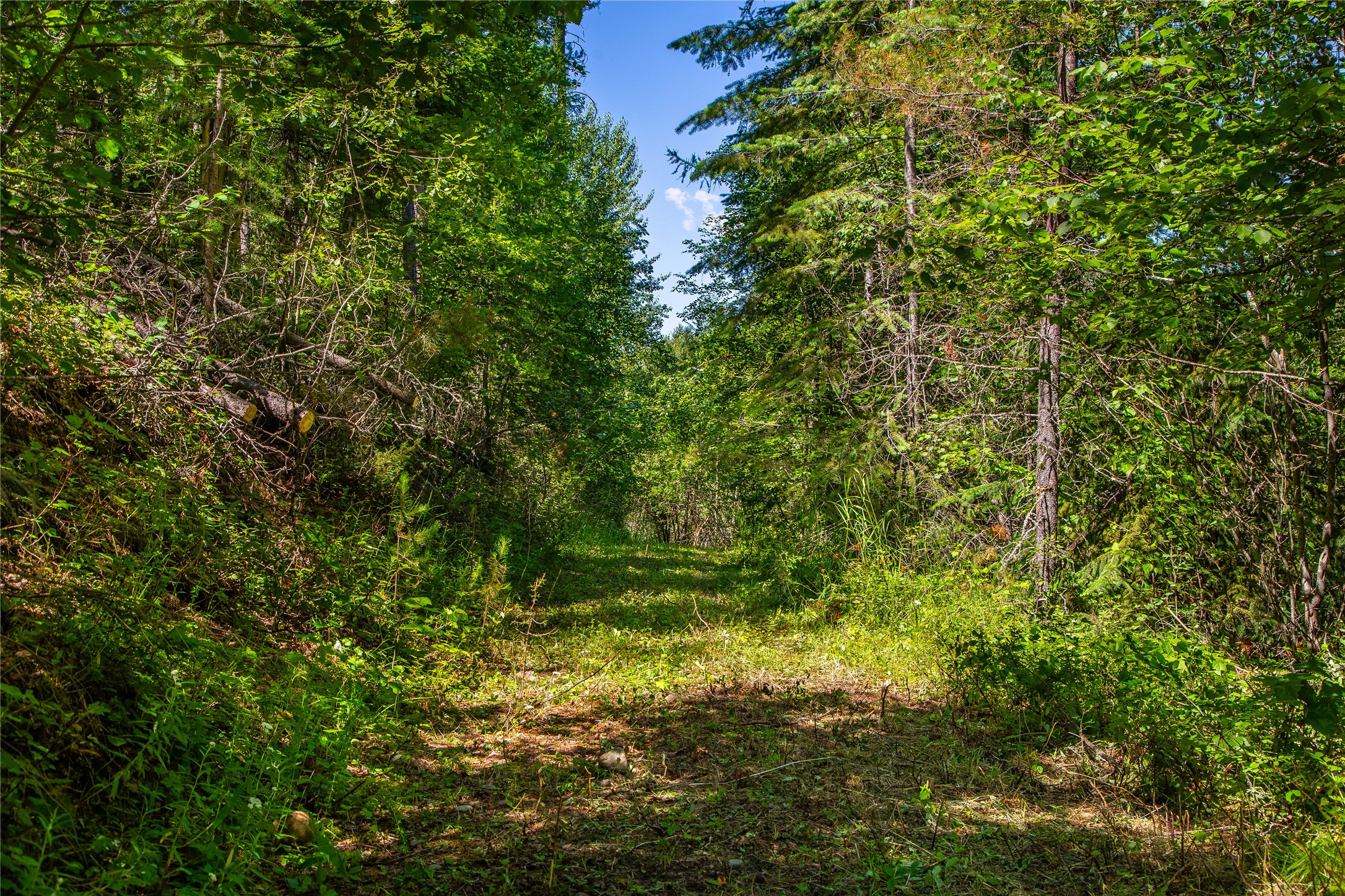11315 Us Hwy 2 E Property Photo 57