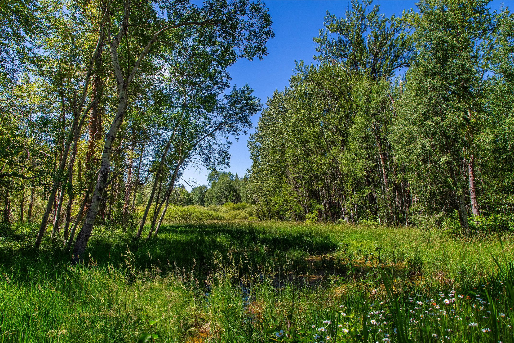 11315 Us Hwy 2 E Property Photo 58