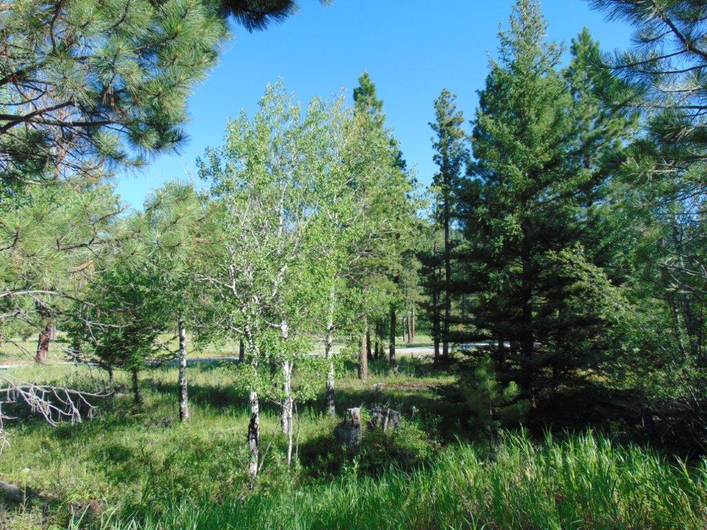 4615 Abe Lincoln Road Property Photo 1